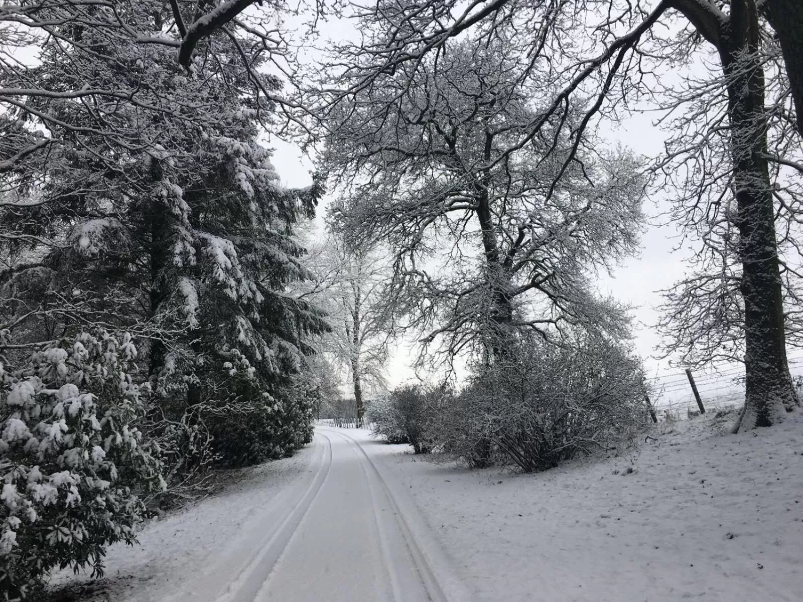 Winter in West Plean House