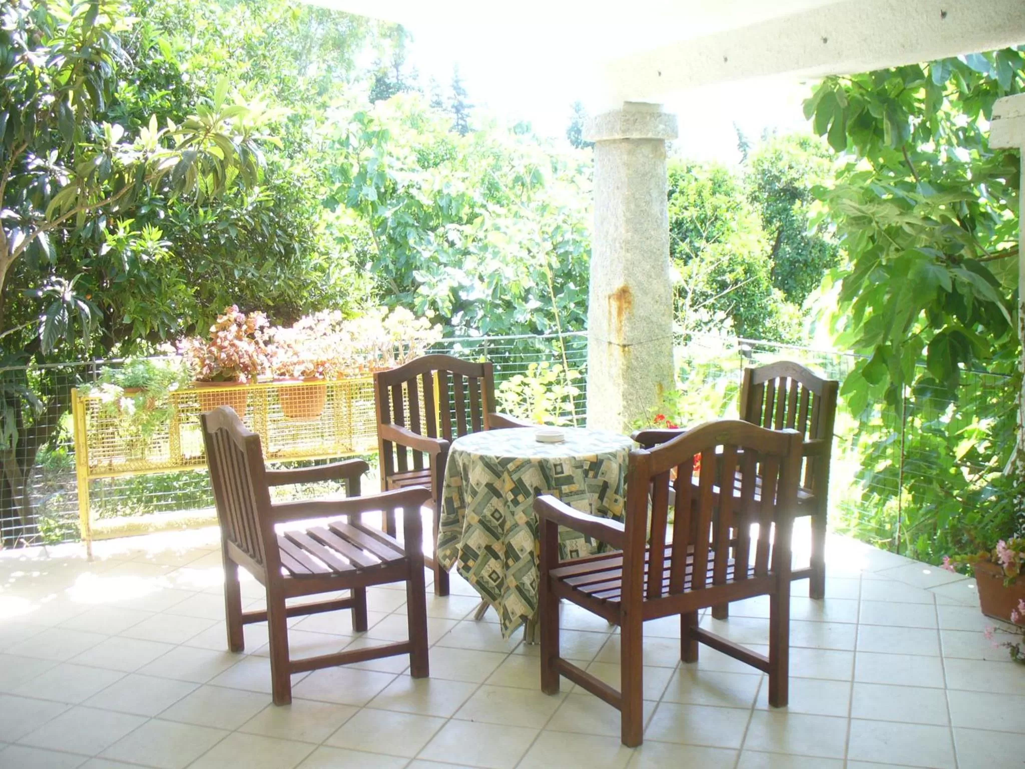 Patio in Hotel Domu Incantada