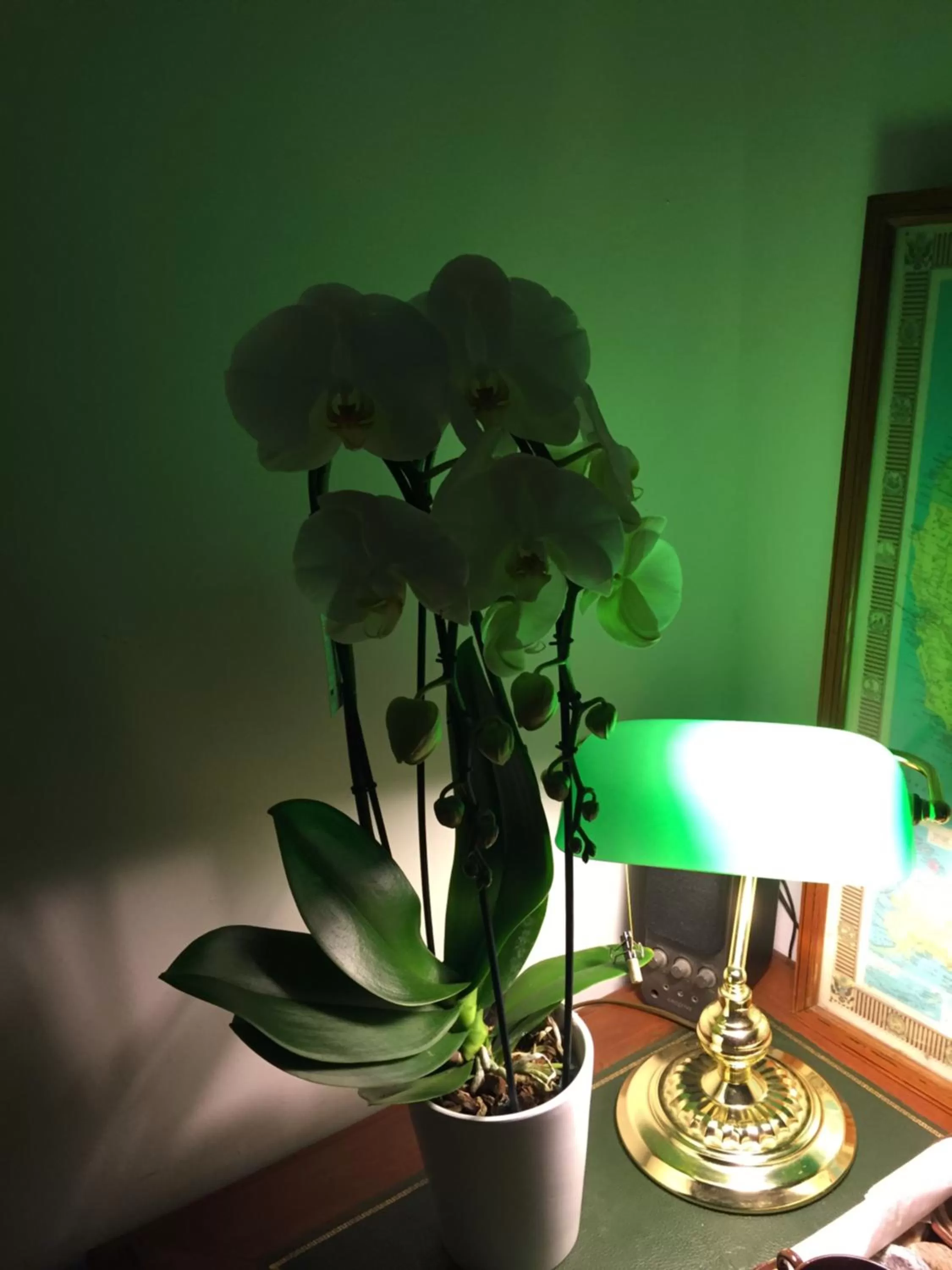 Chambre et sa salle de bain privée cocooning labellisée