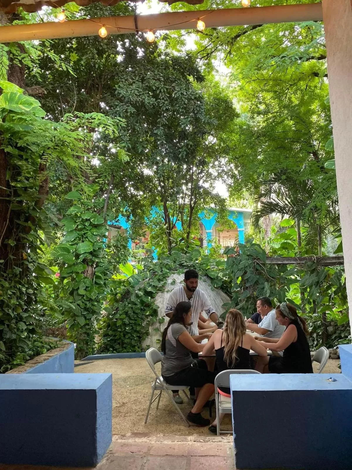 Garden view in Hotel La Ceiba