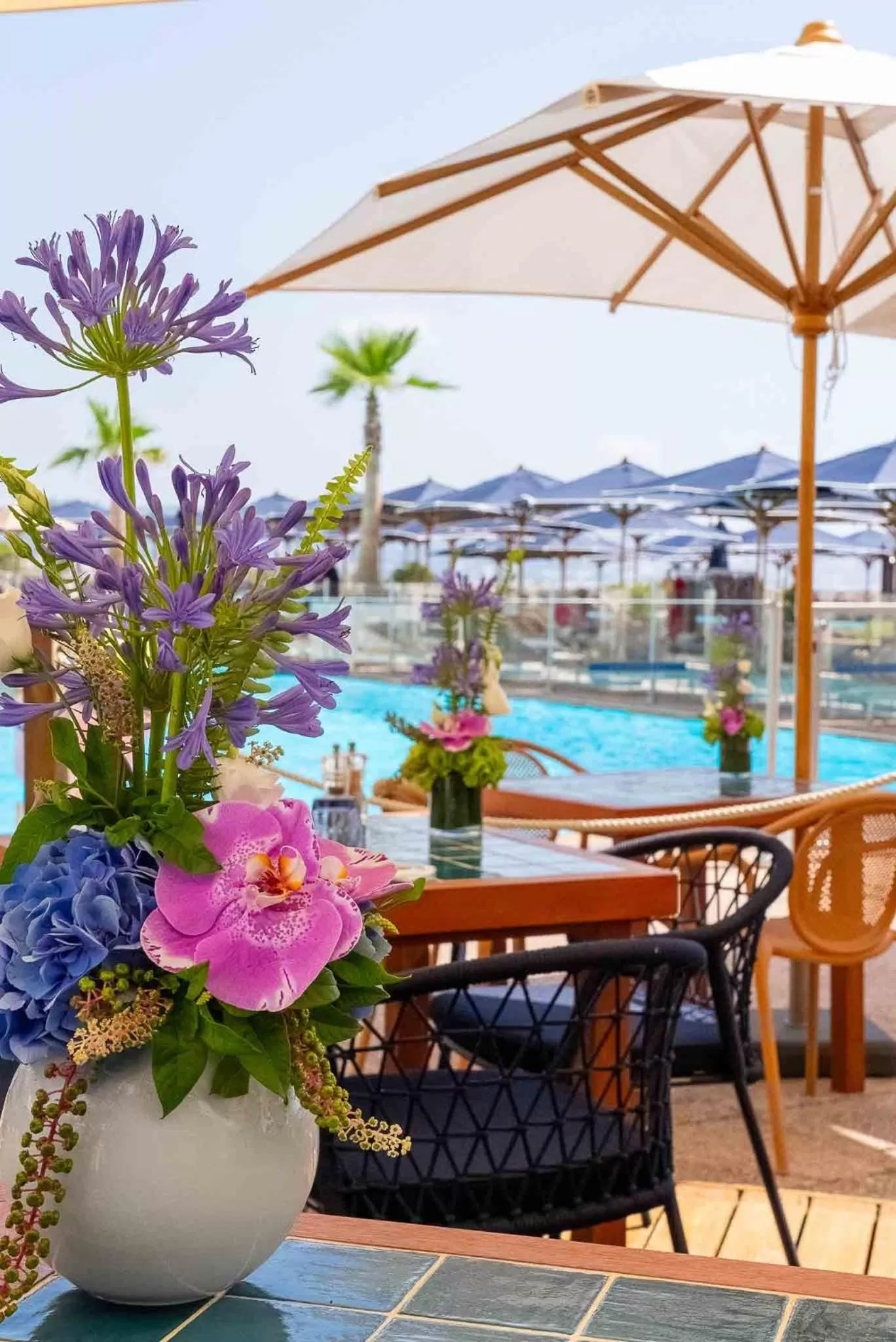 Patio in Pullman Cannes Mandelieu