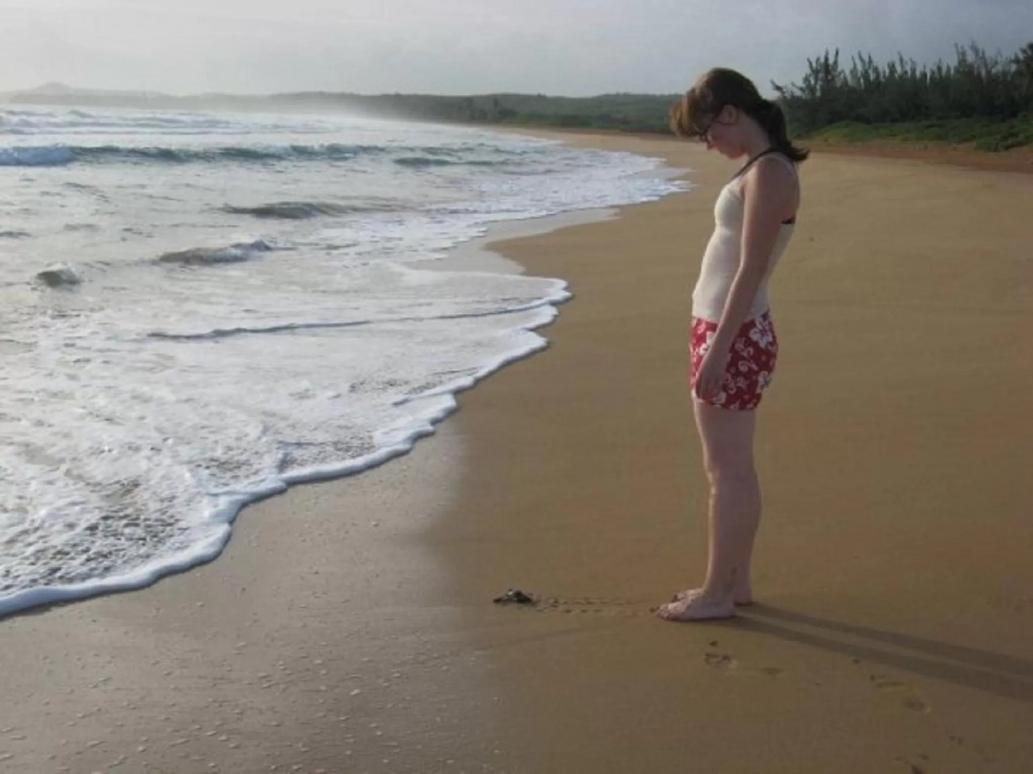 Animals in Luquillo Sunrise Beach Inn