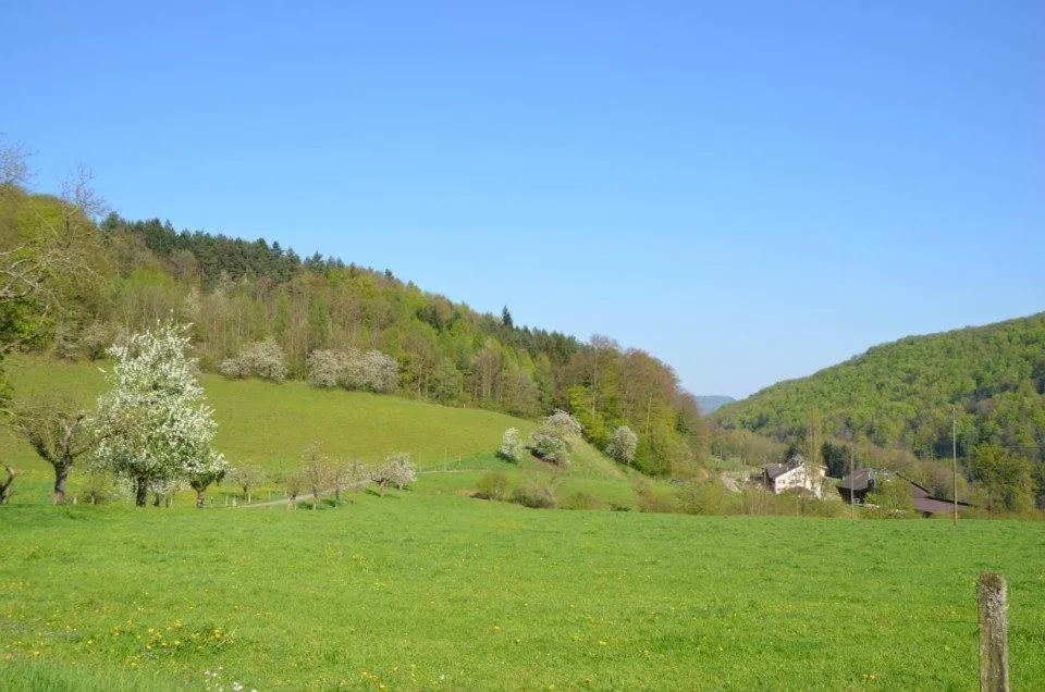 Day in Bad Schauenburg