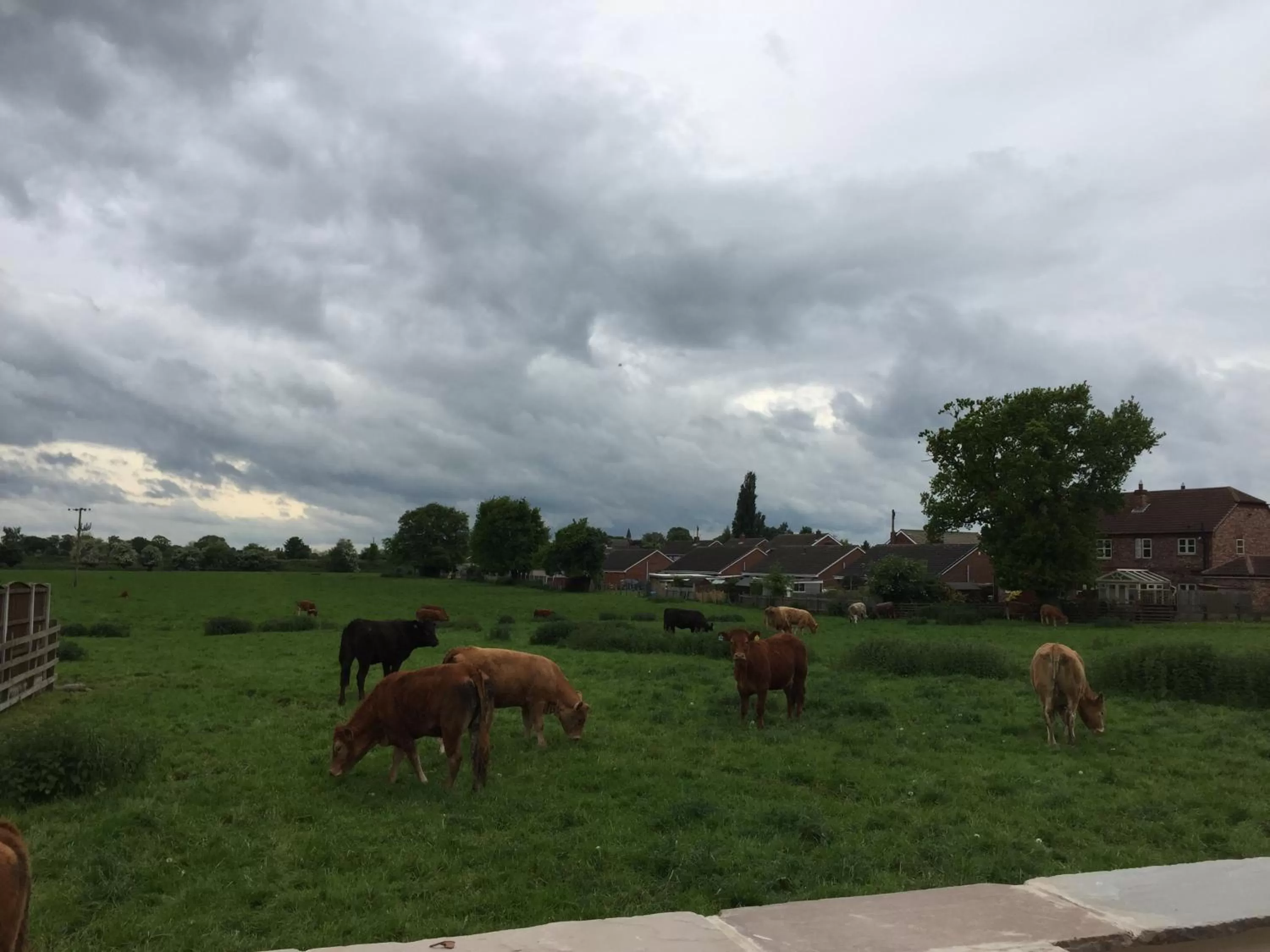 View (from property/room) in Fir Tree Barn