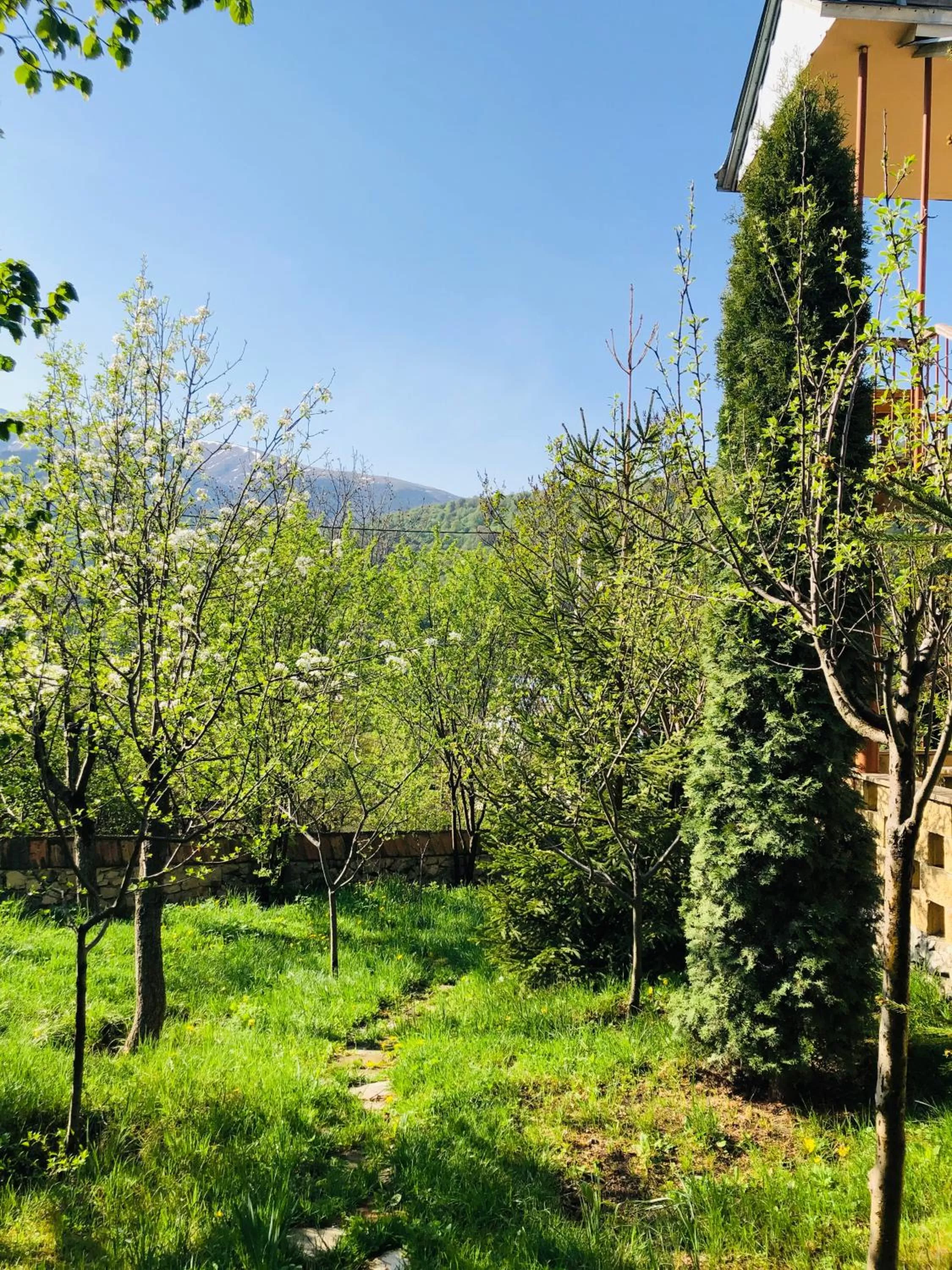 Garden in Dil Hill by Sam