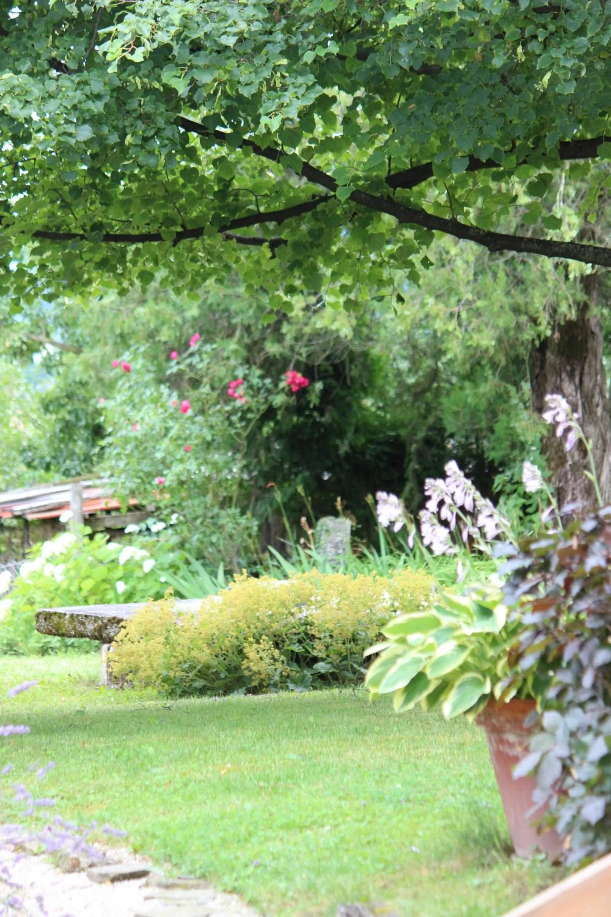 Garden in Mala Kmetija
