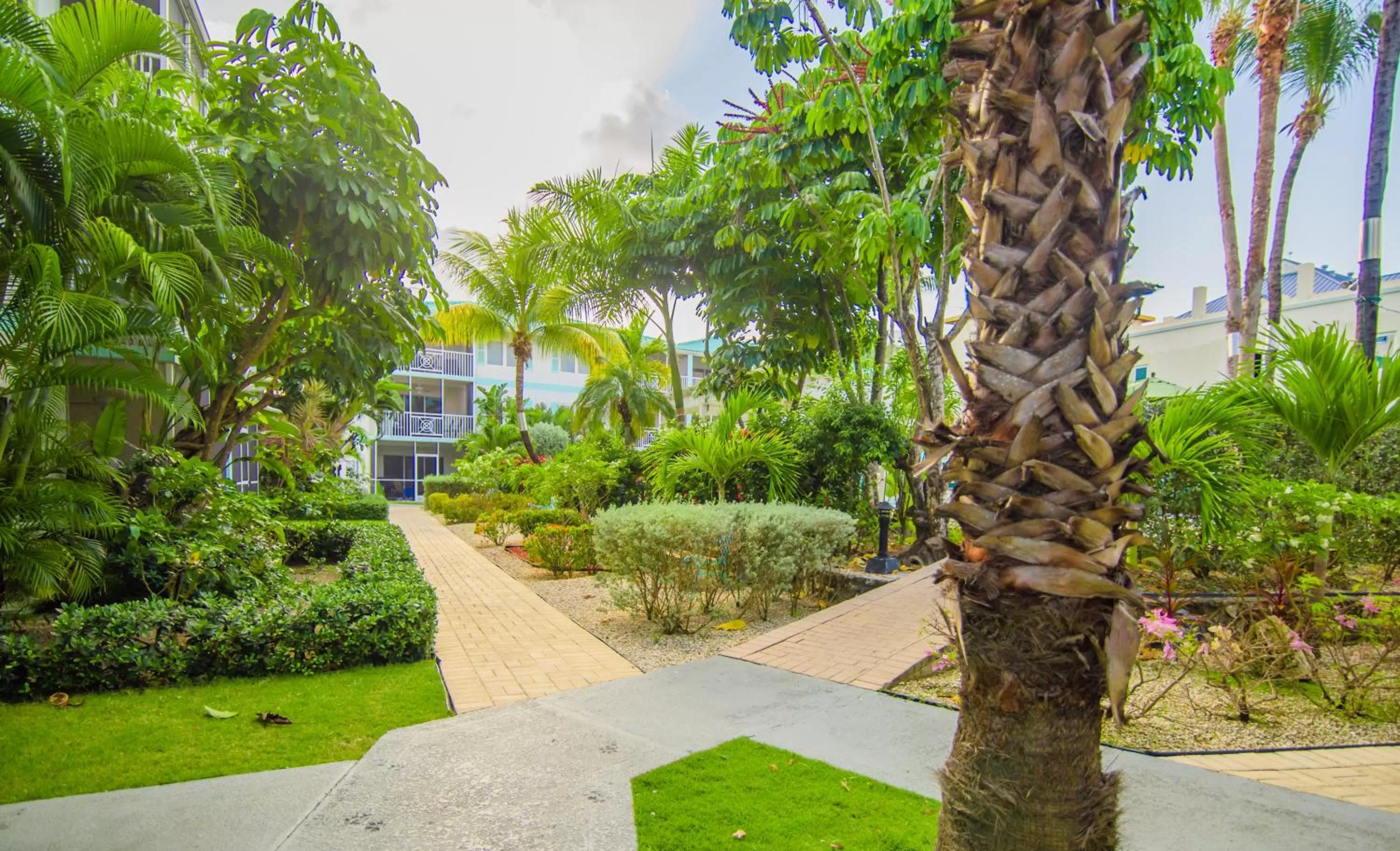 Garden in Seven Mile Beach Resort