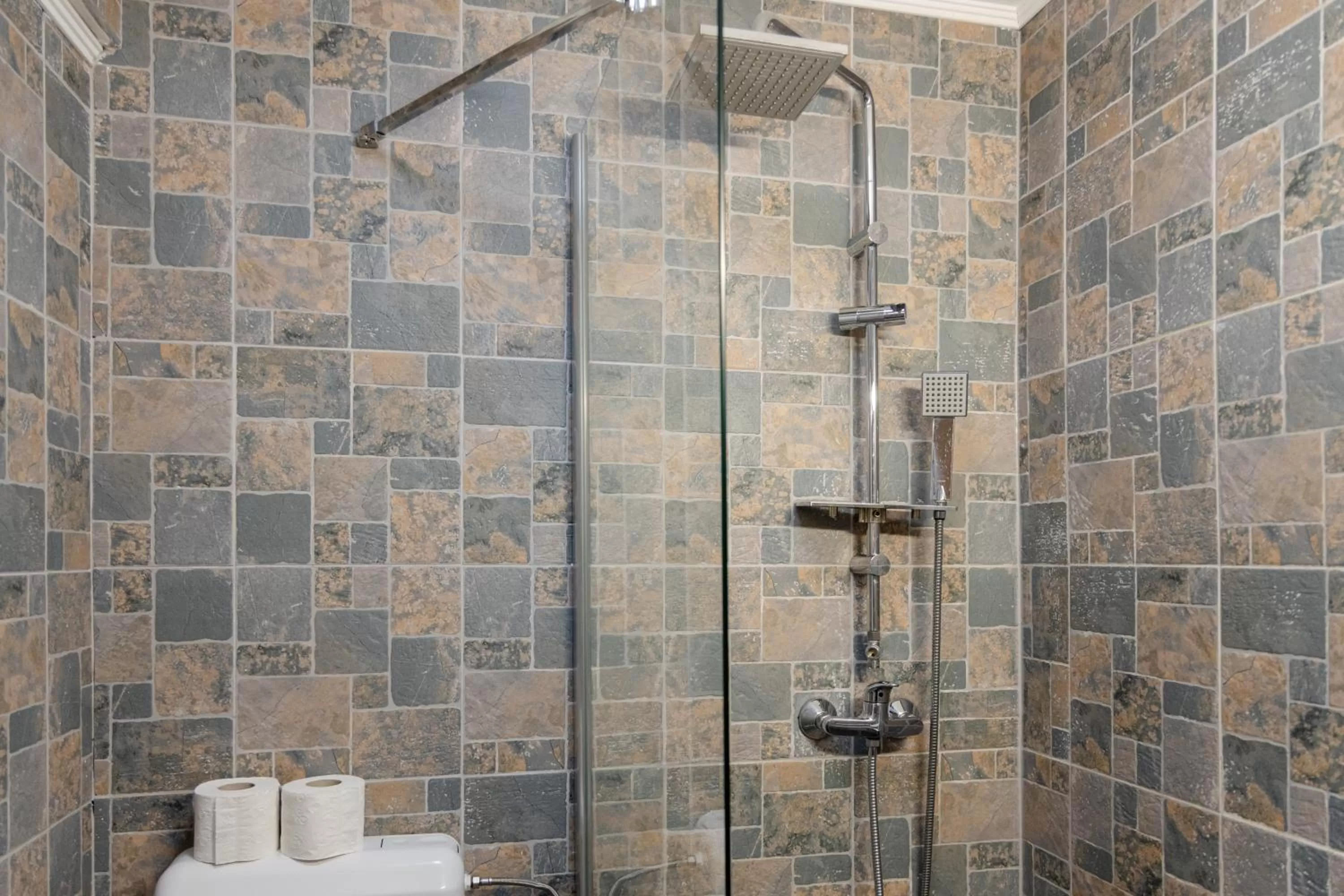 Toilet in Pensiunea Pictorilor