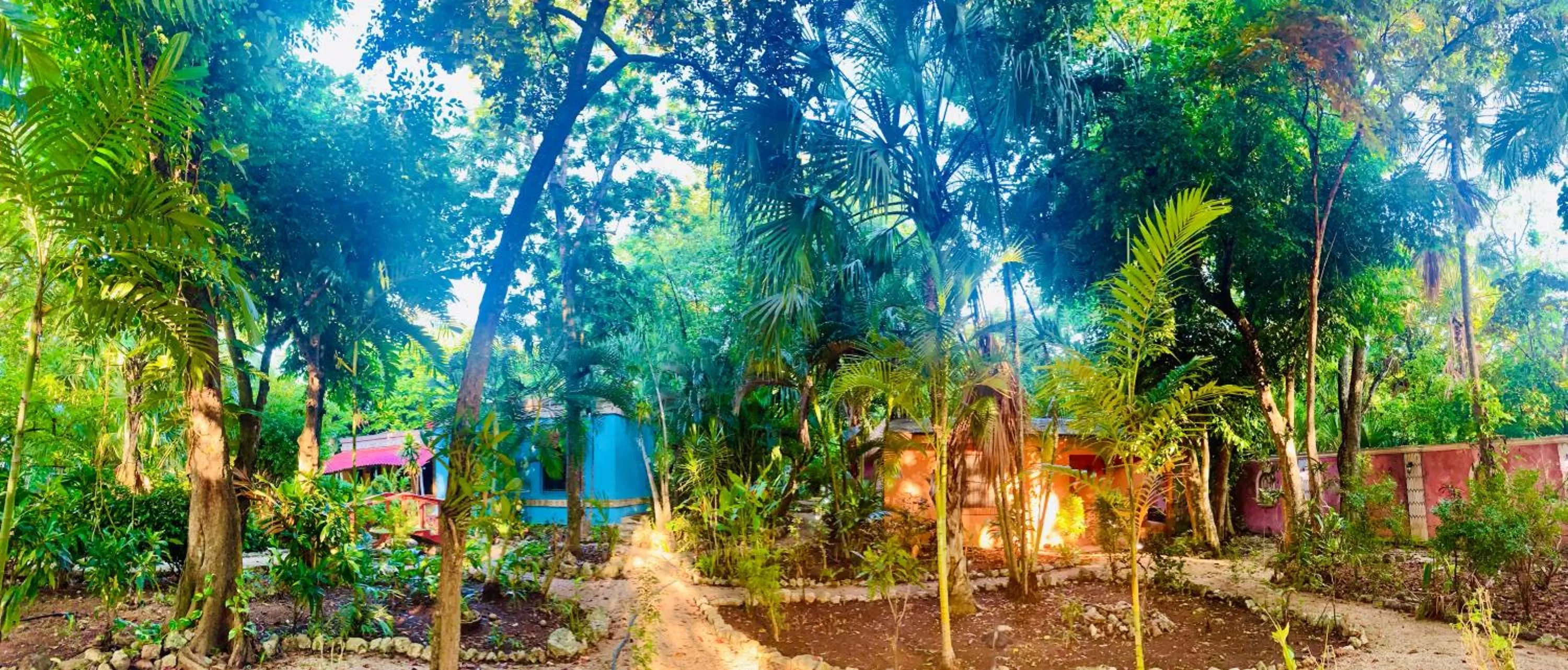 Garden in Gardenhotel Macan Ché B&B