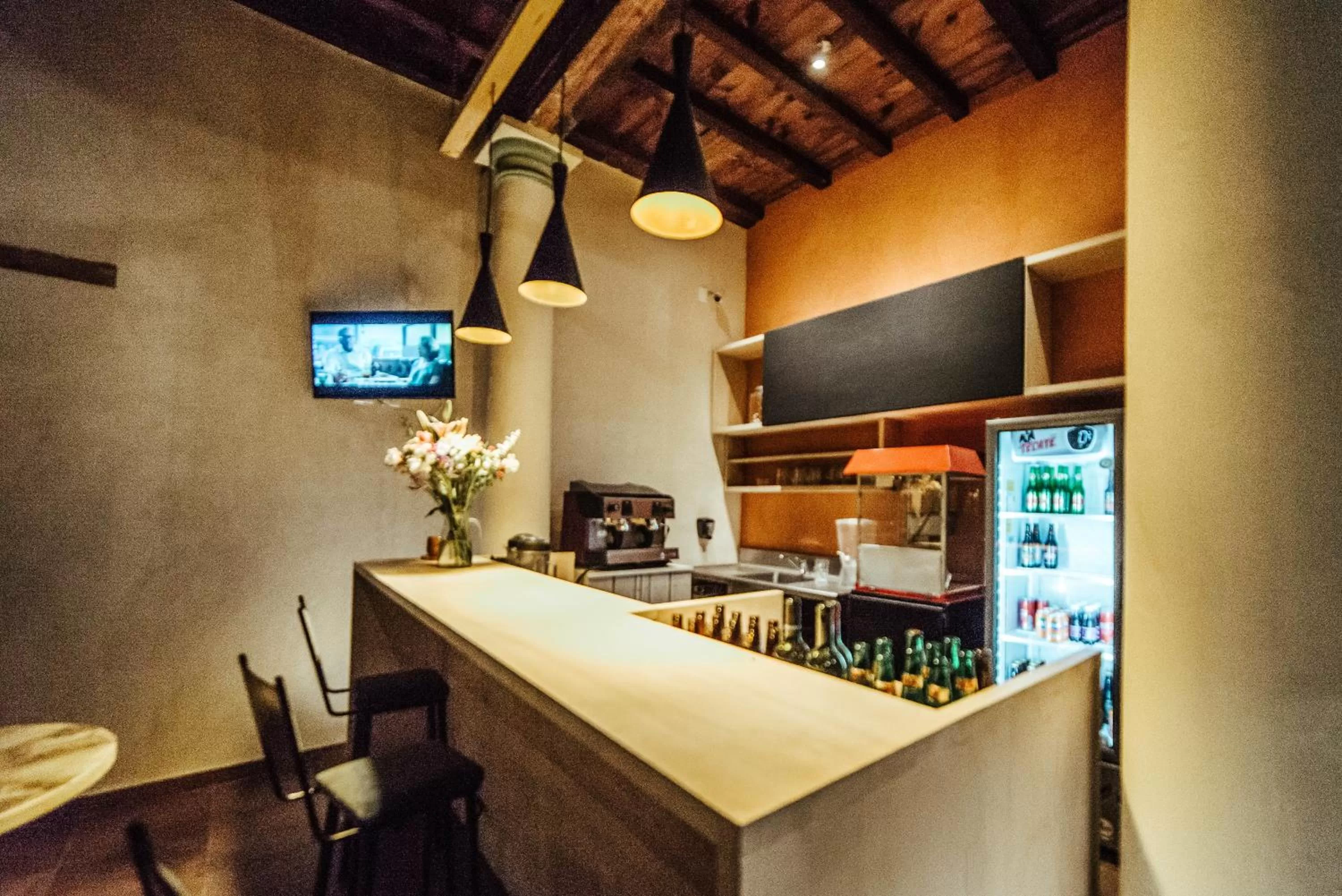 Lounge or bar, Kitchen/Kitchenette in Kotantik bed & breakfast