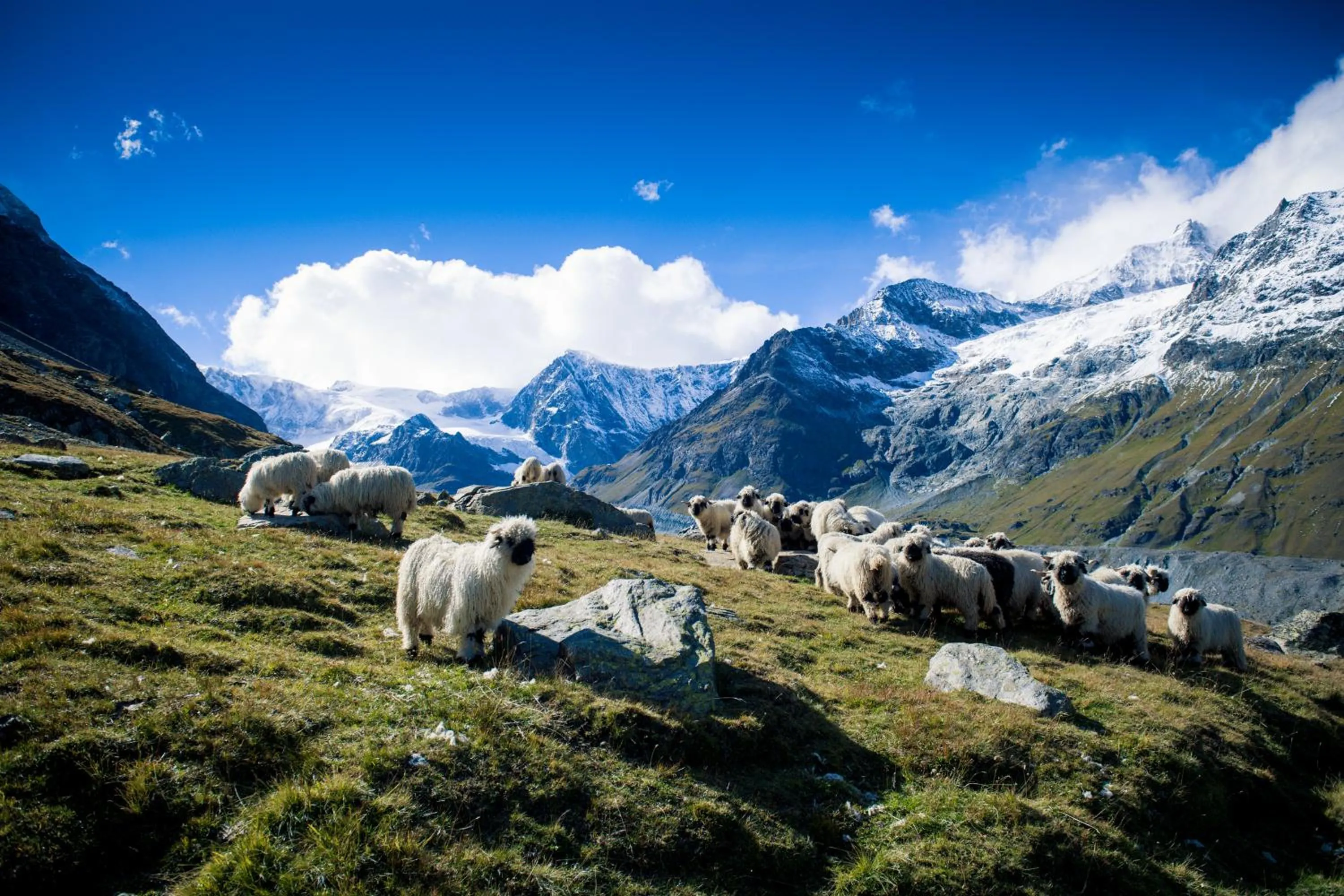 Activities in Tradition Julen Hotel