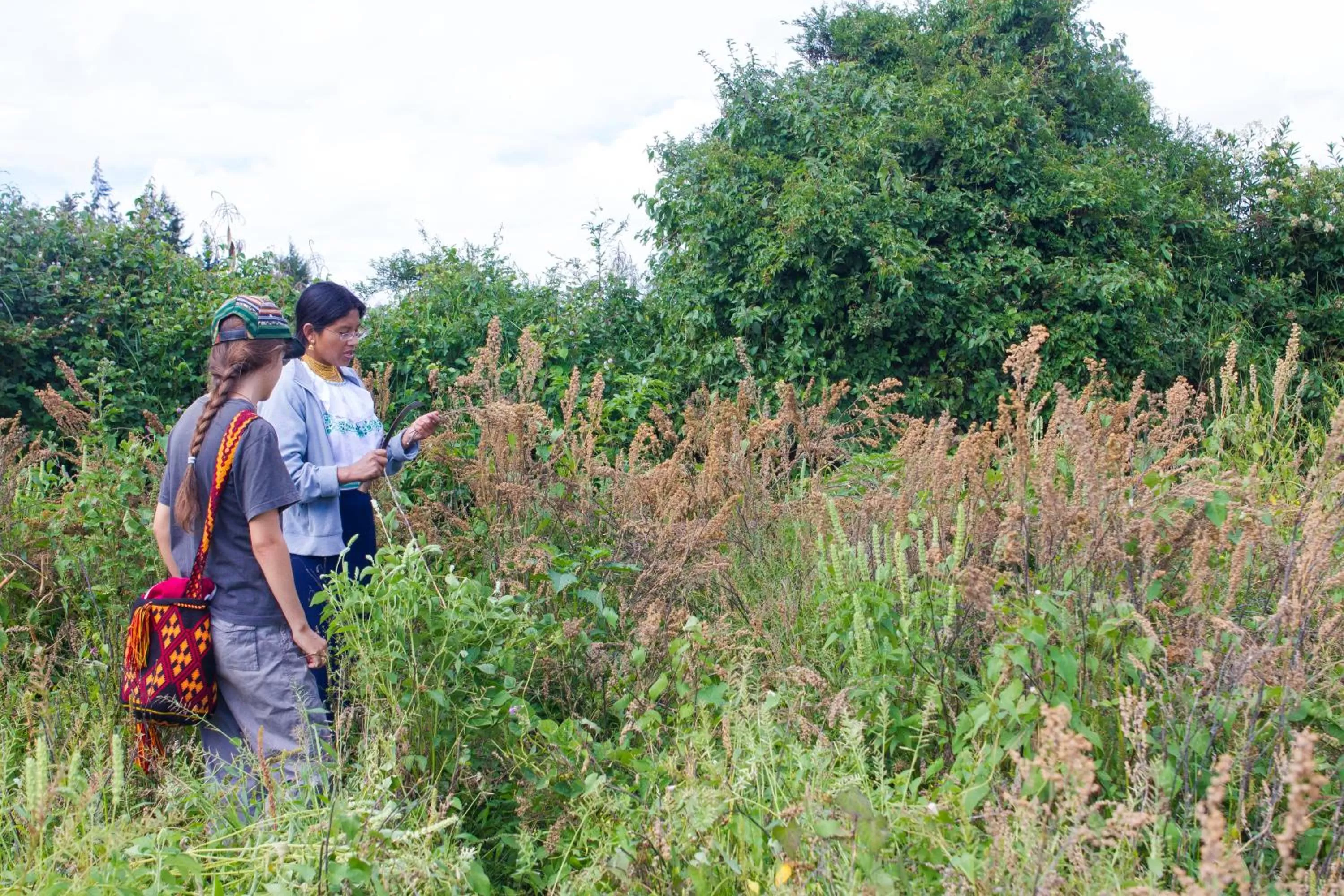 View (from property/room) in Kallpa Wasi