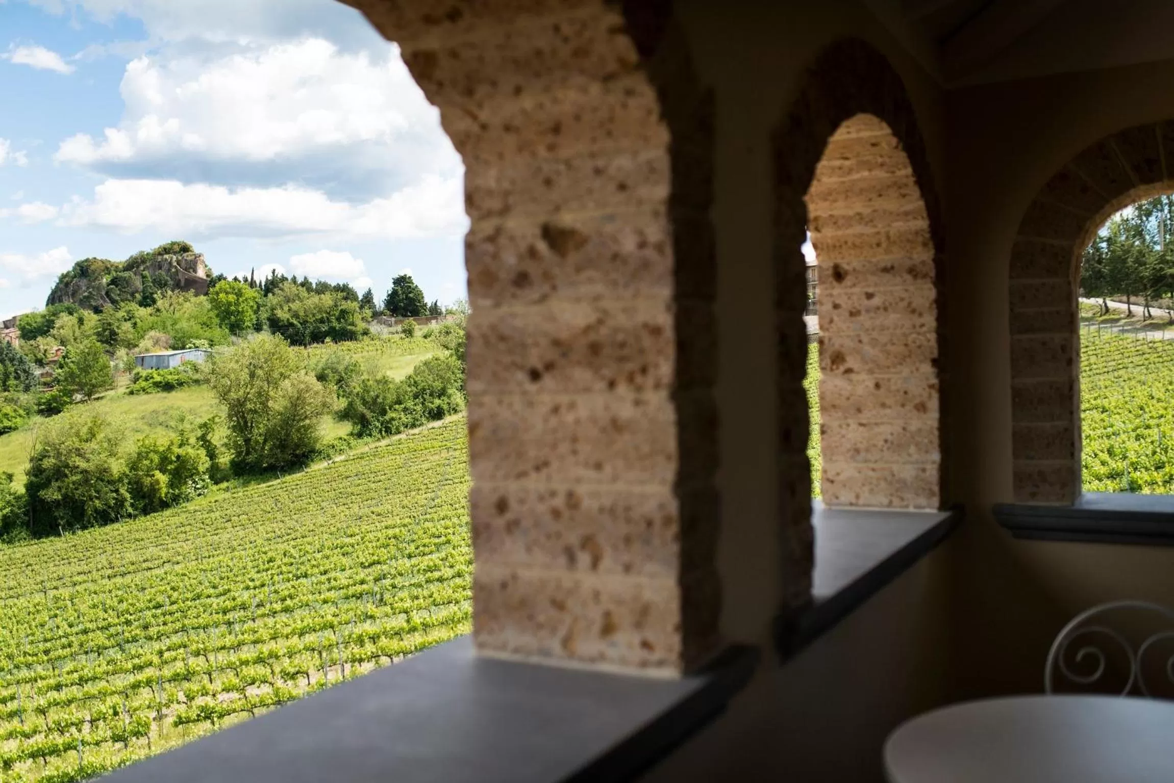 Natural landscape in Altarocca Wine Resort Adults Only