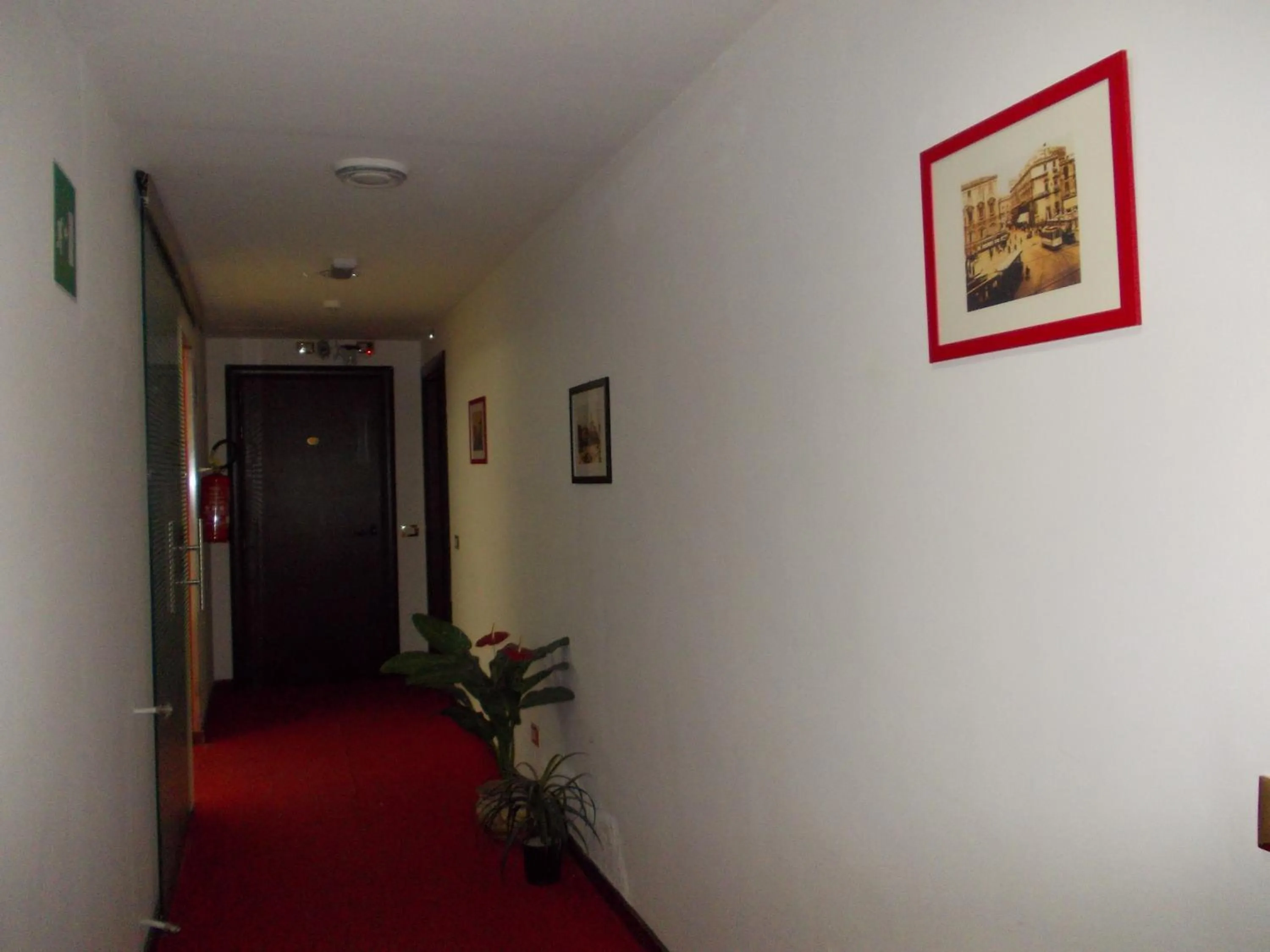 Decorative detail in Hotel Catania Town