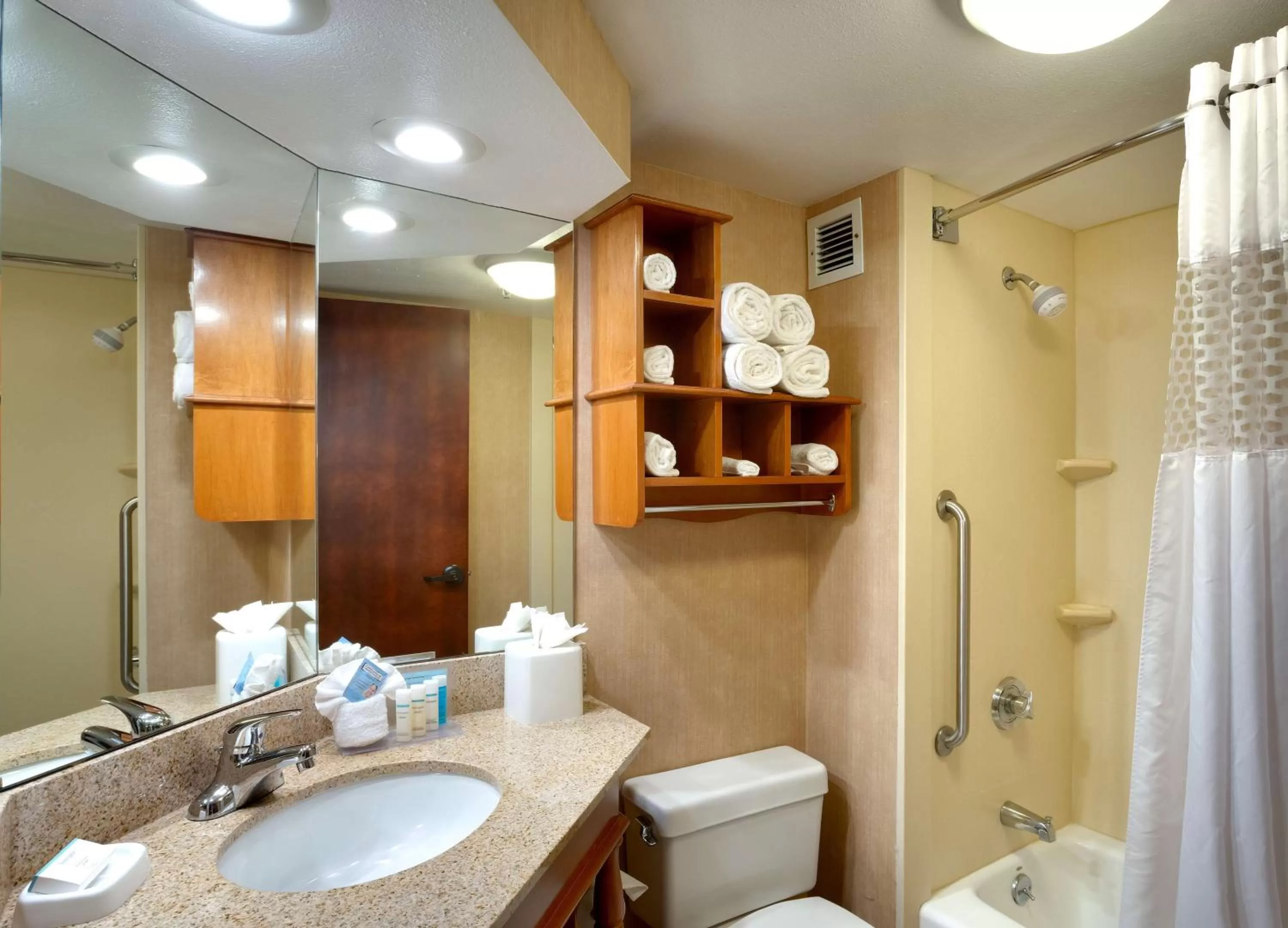 Bathroom in Hampton Inn Salt Lake City/Sandy