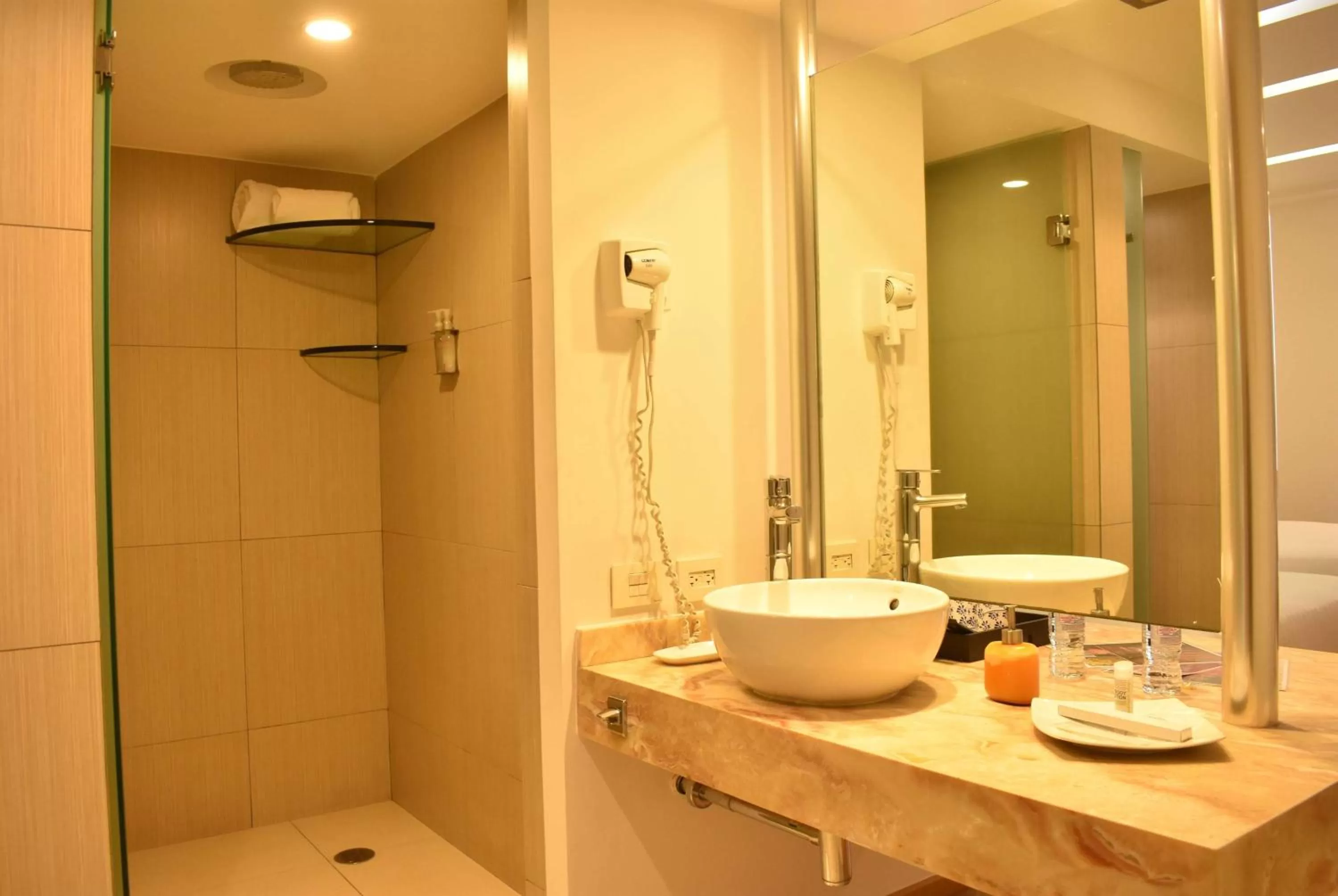 Shower in Ramada by Wyndham Mexico City Santa Fe