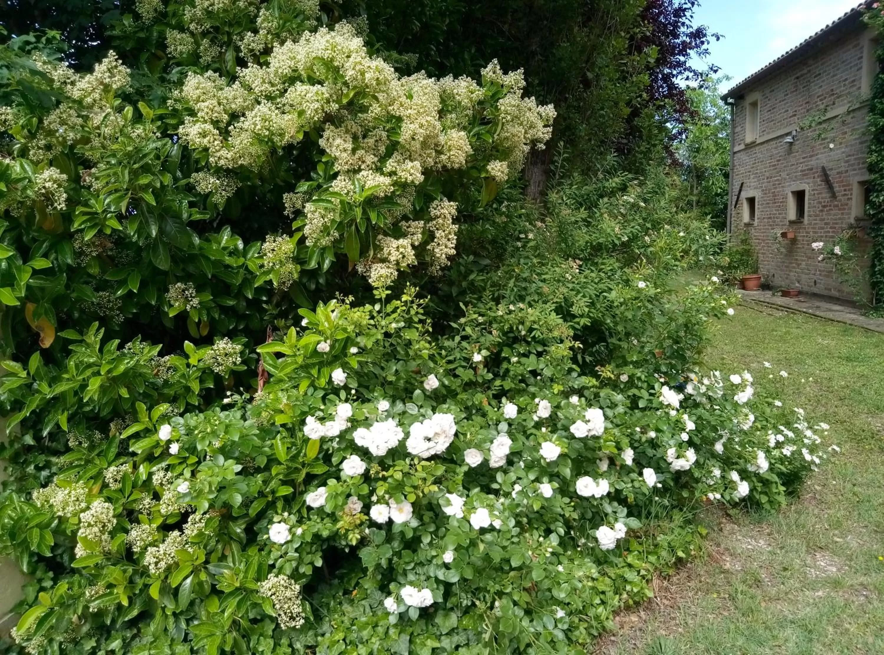 Property building, Garden in La Casa di Tara B&B Armonia e Natura