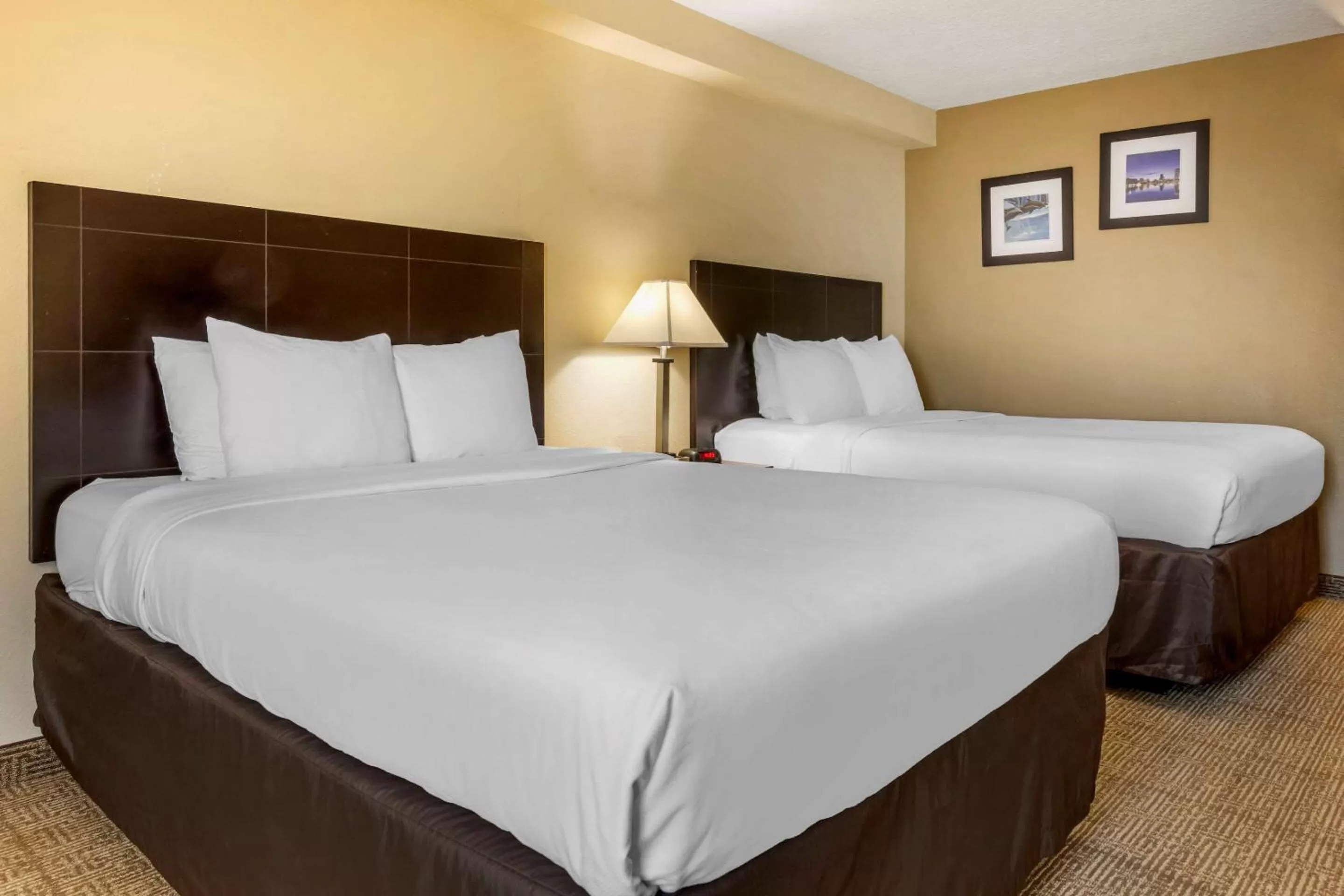 Photo of the whole room, Bed in Comfort Inn International Drive