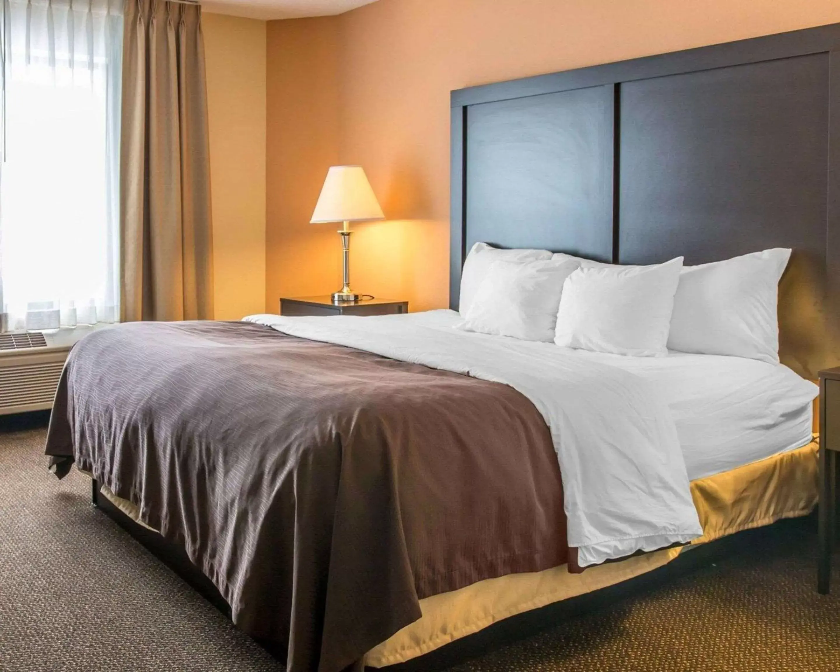 Standard King Room with Roll In Shower - Accessible/Non Smoking in Quality Inn & Suites Niles Standard King Room with Roll In Shower - Accessible/Non Smoking in Quality Inn & Suites Niles