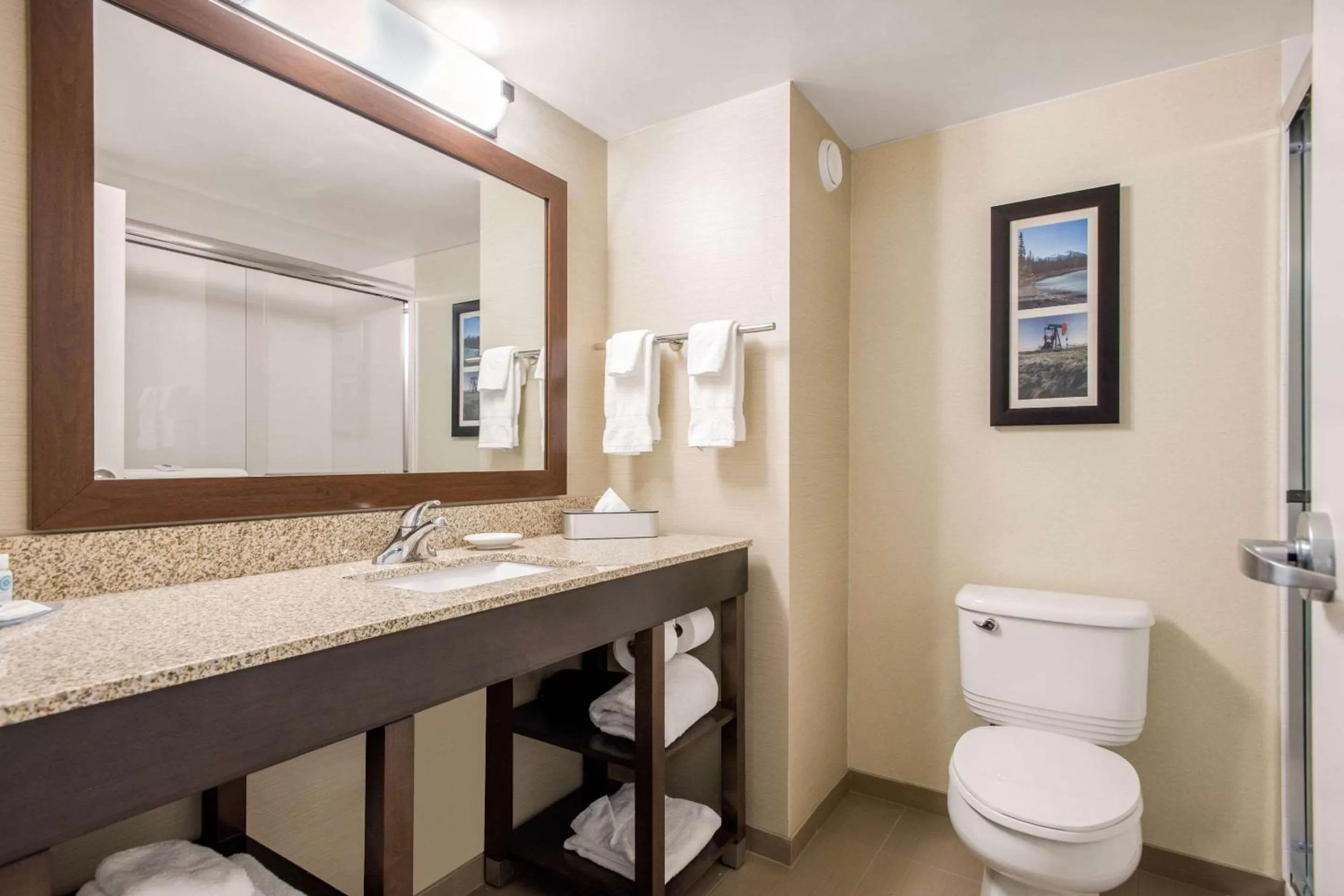 Toilet in Comfort Inn & Suites