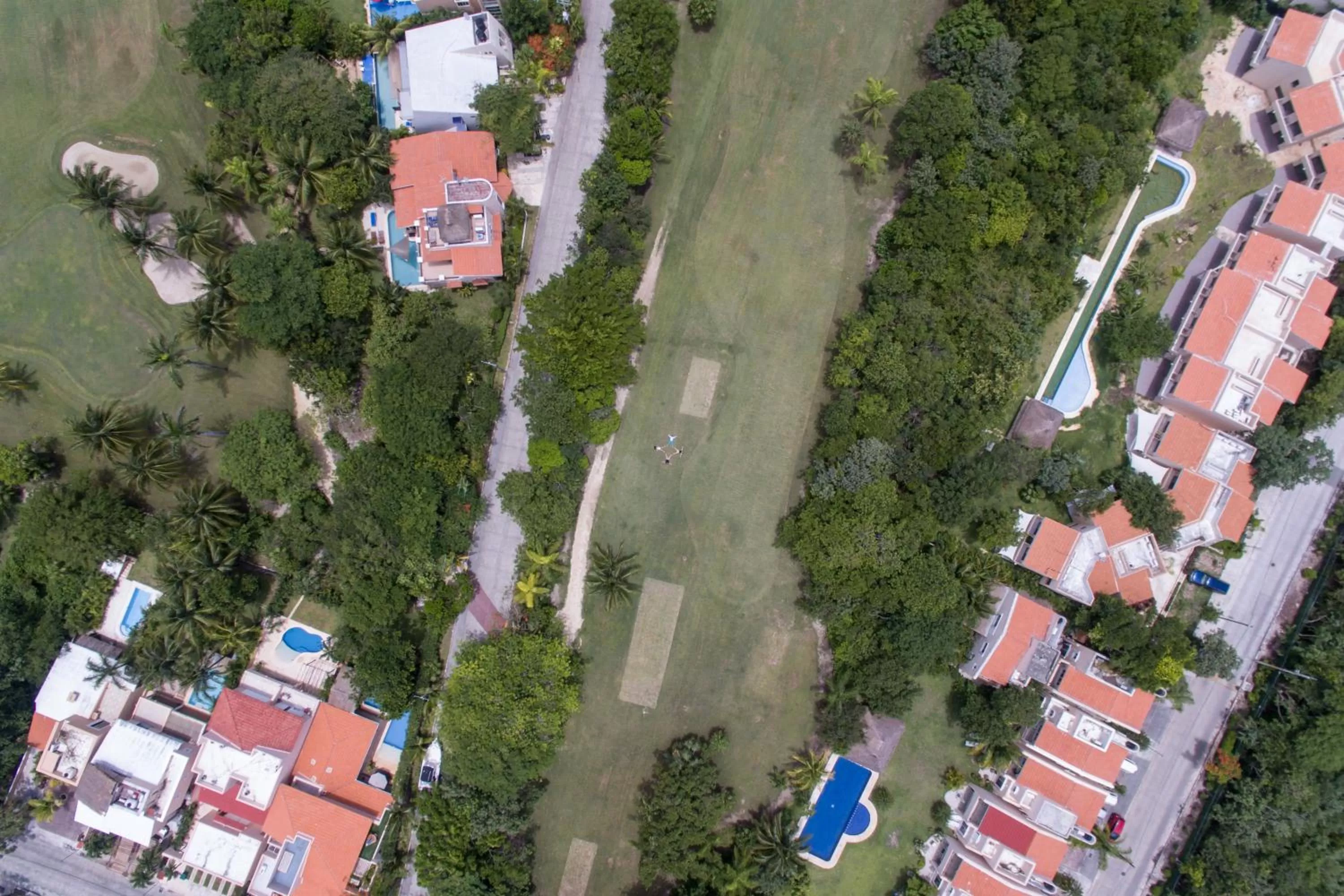 Activities, Bird's-eye View in B&B Mom's House