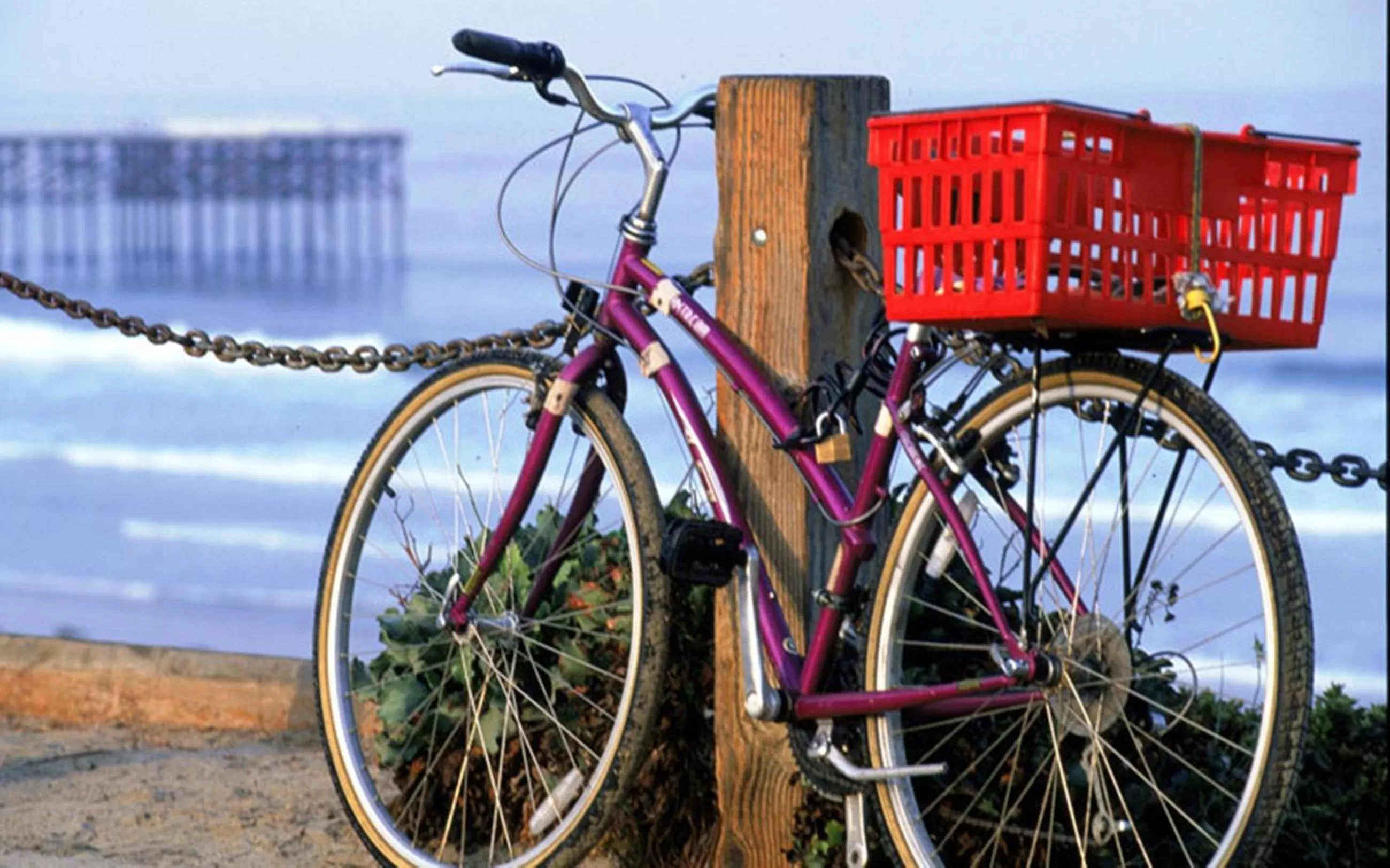 Other in Pacific Terrace Hotel