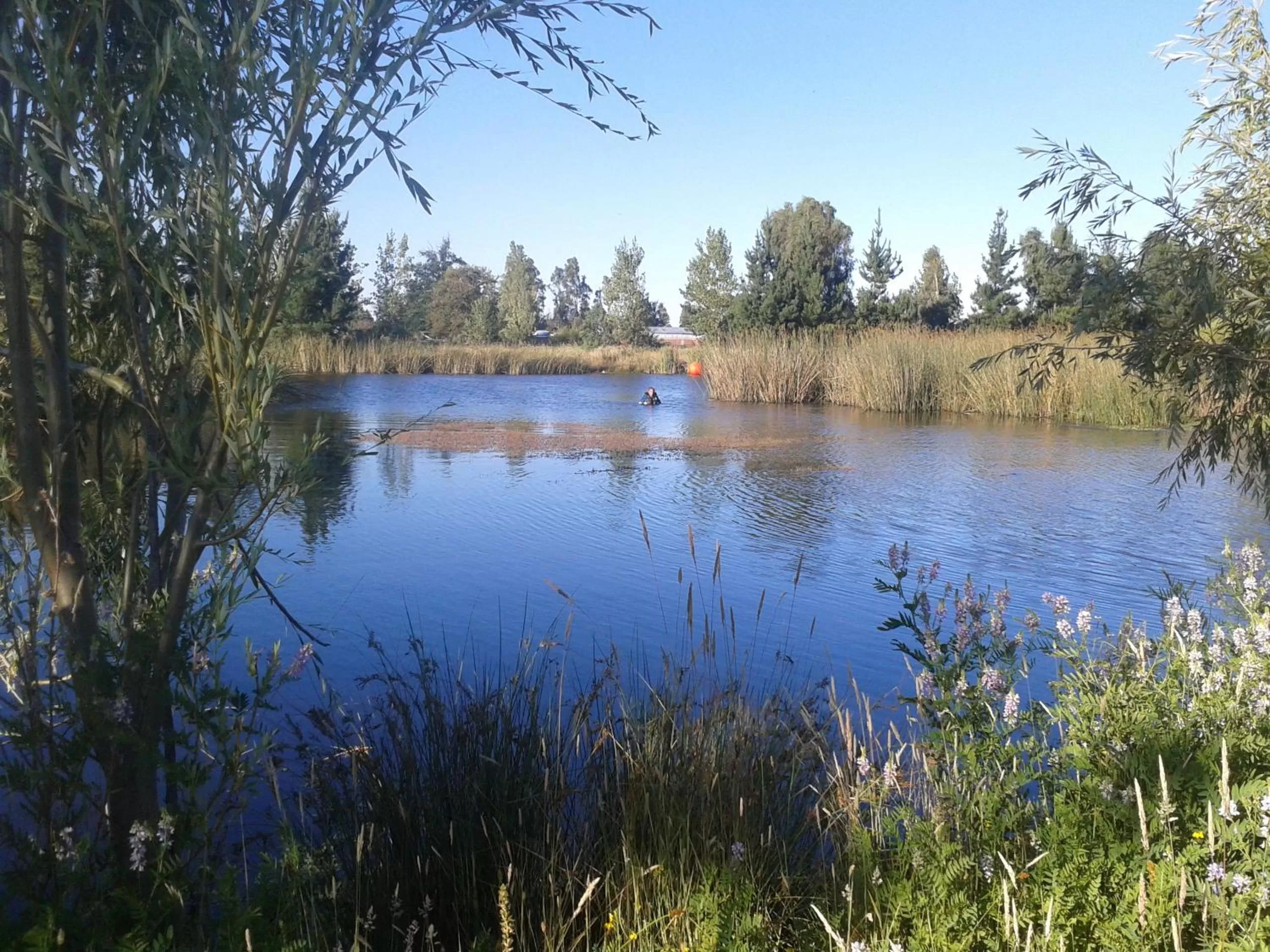Area and facilities, Lake View in La Casa de Adobe Natural y Más