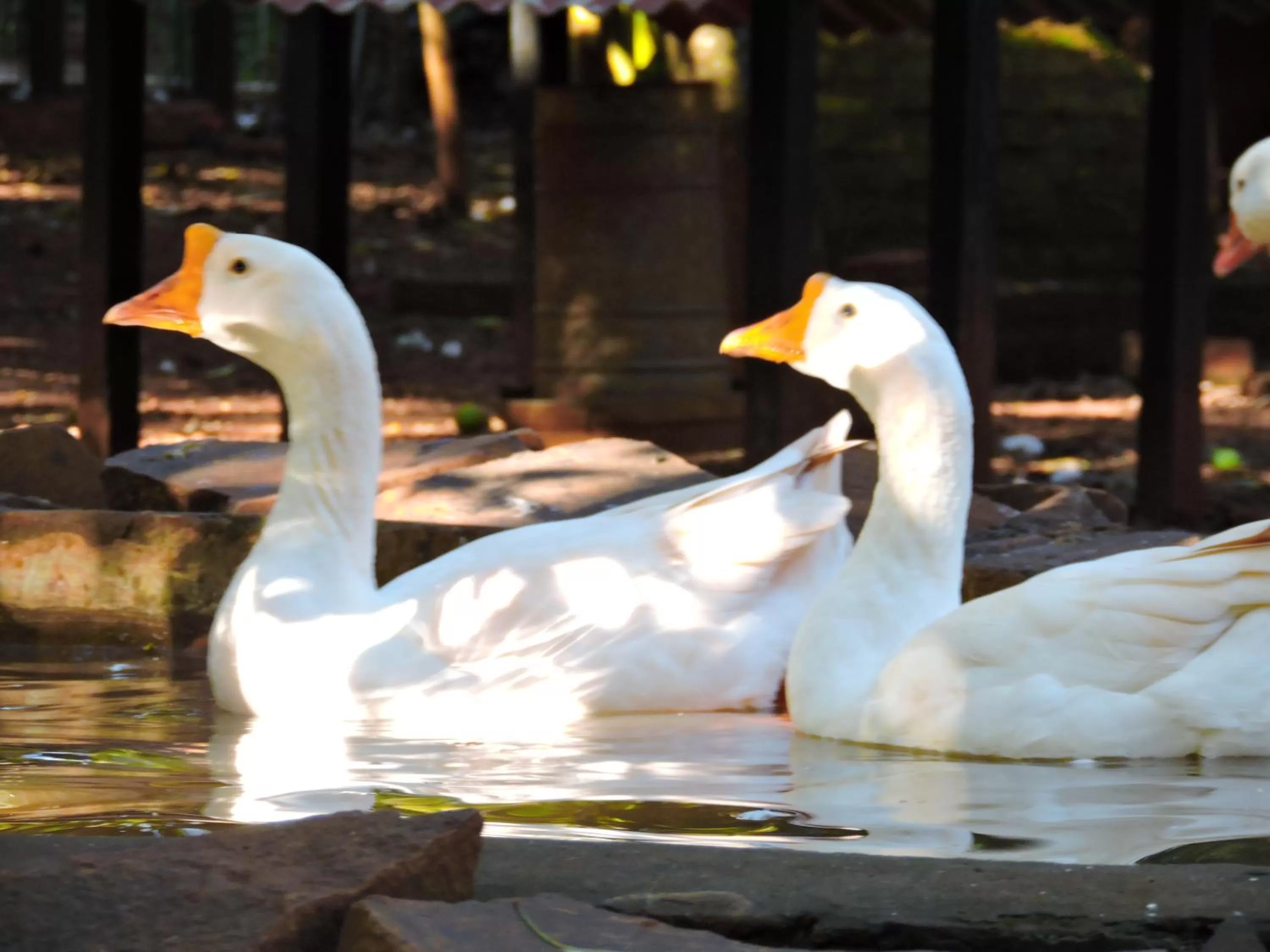 Property building, Other Animals in La Cautiva Iguazú Hotel
