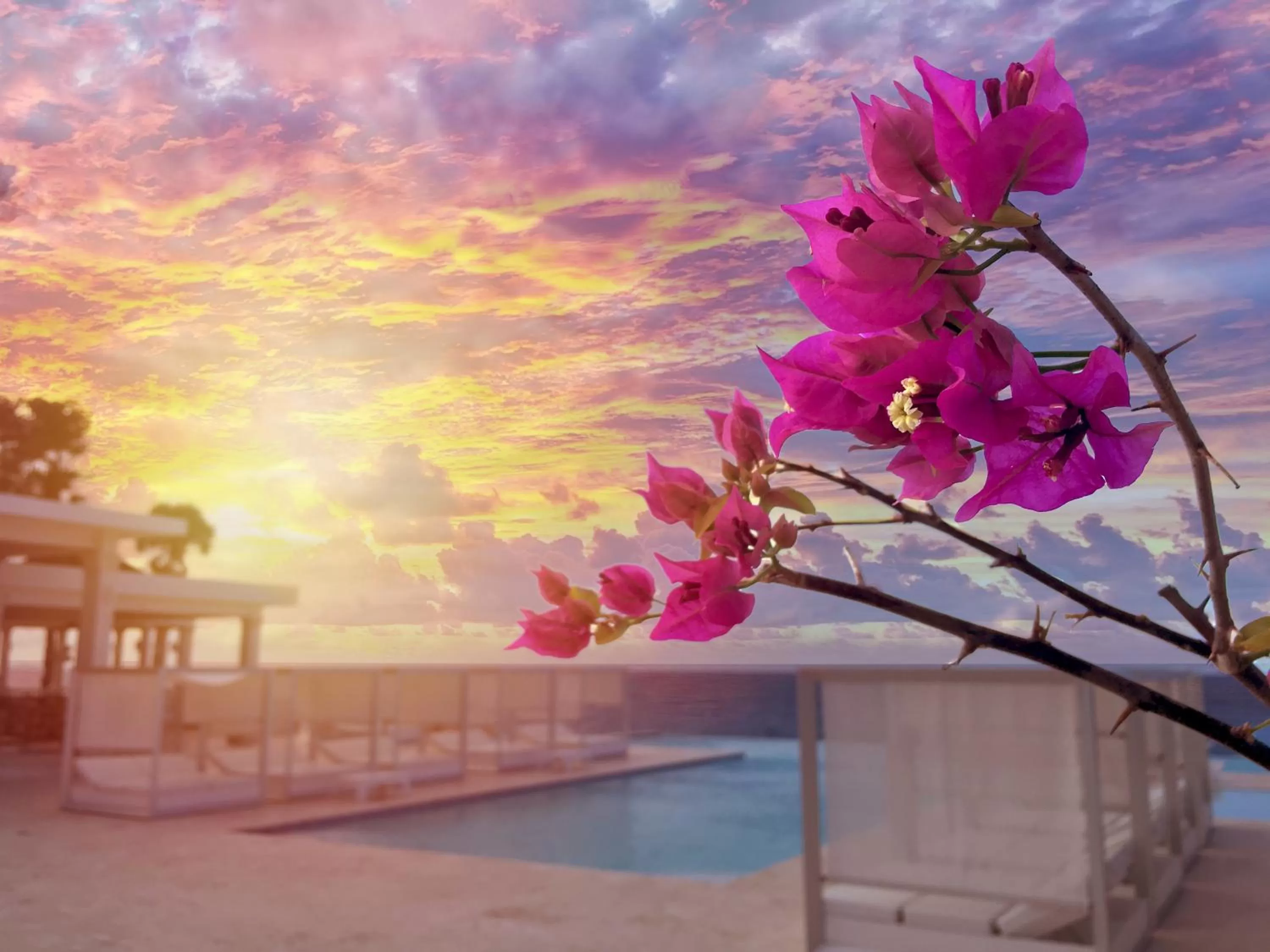 Restaurant/places to eat in Ocean Village Deluxe Resort & Spa