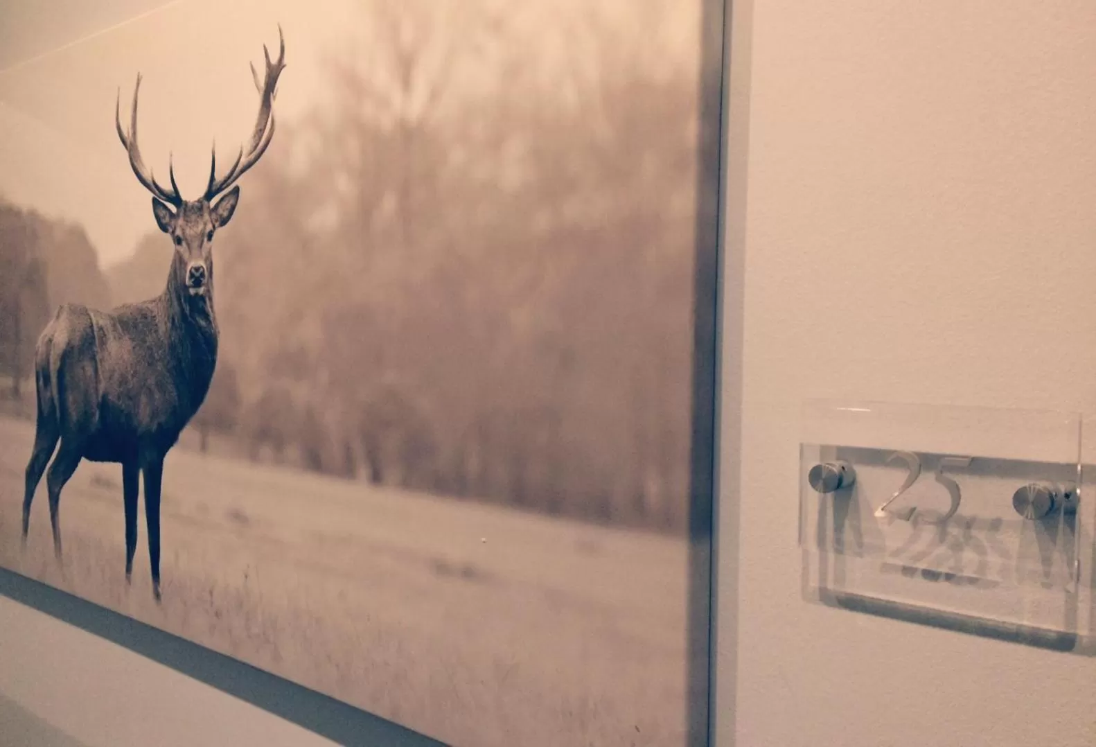 Other in Hotel Heddernheimer Hof