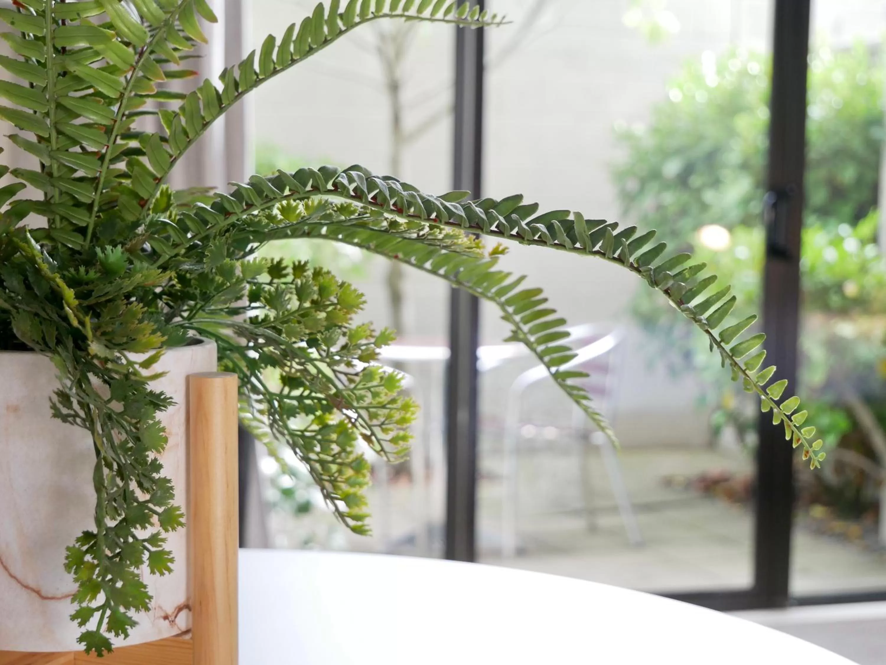 Balcony/Terrace in Alpine Lake Motel
