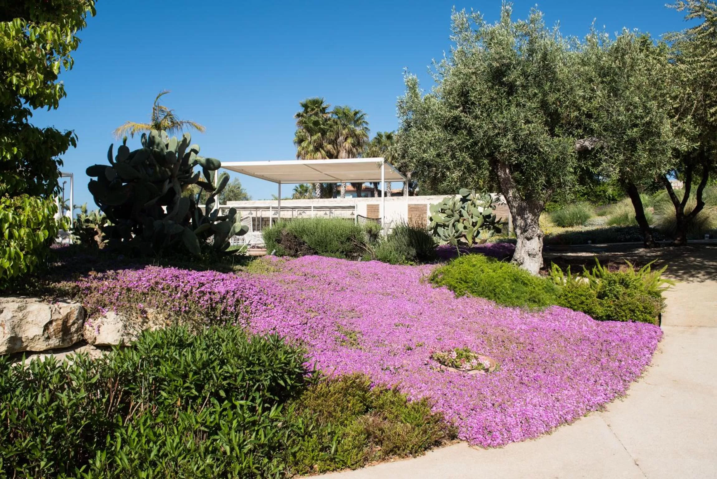 Garden in La Scibina