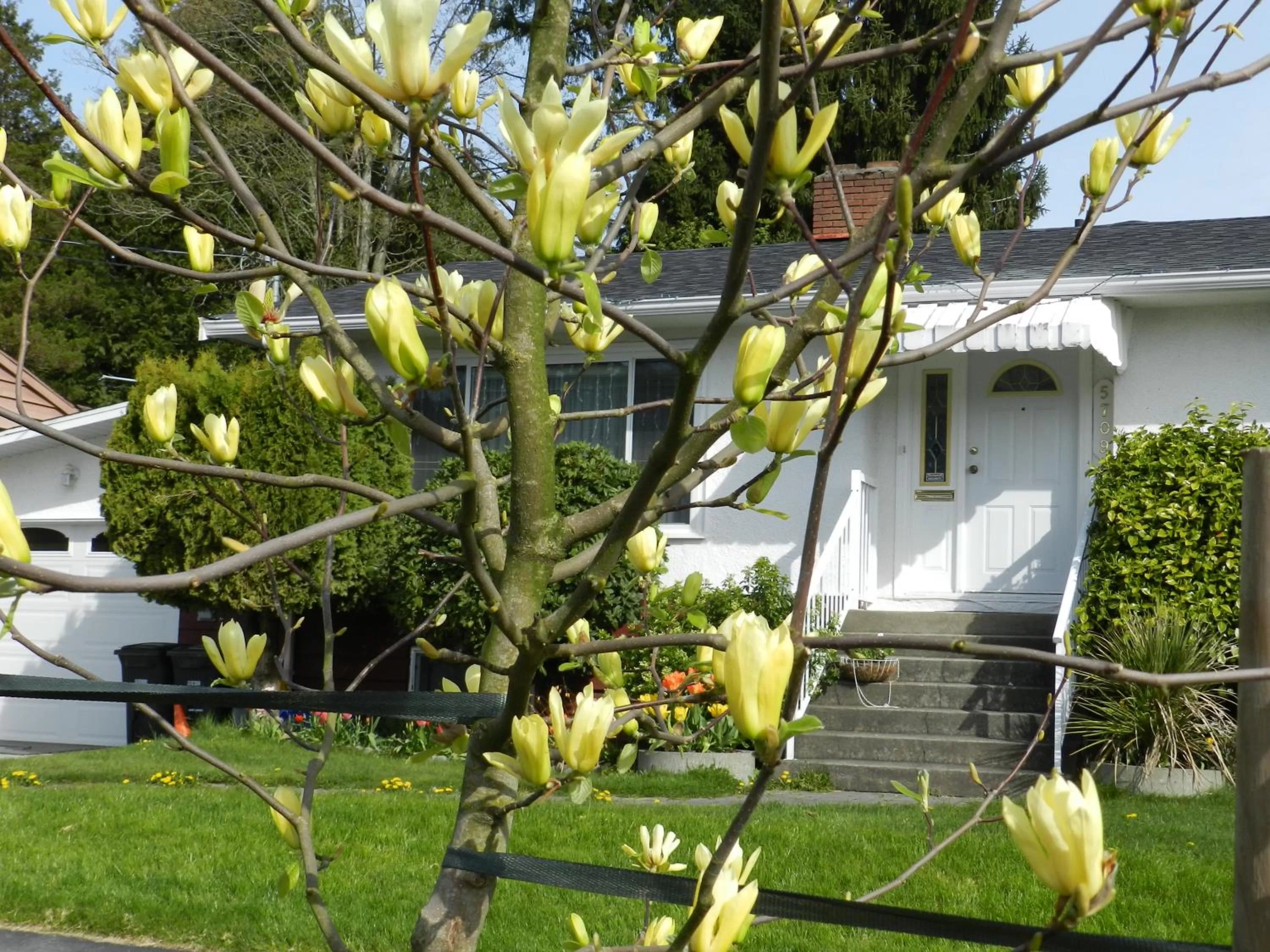 Street view, Patio/Outdoor Area in Serenity