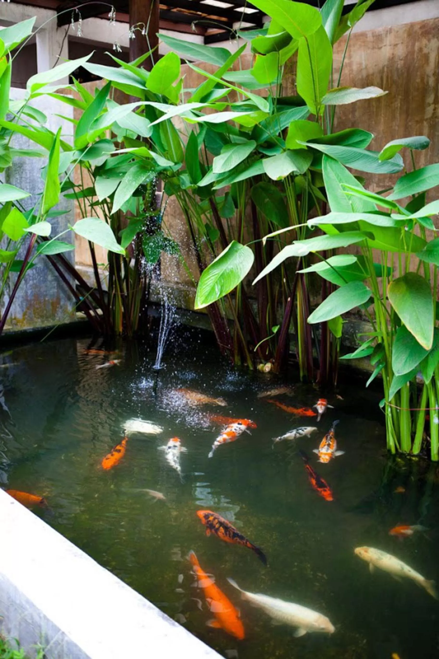 Garden in Ayara Villas - SHA Extra Plus