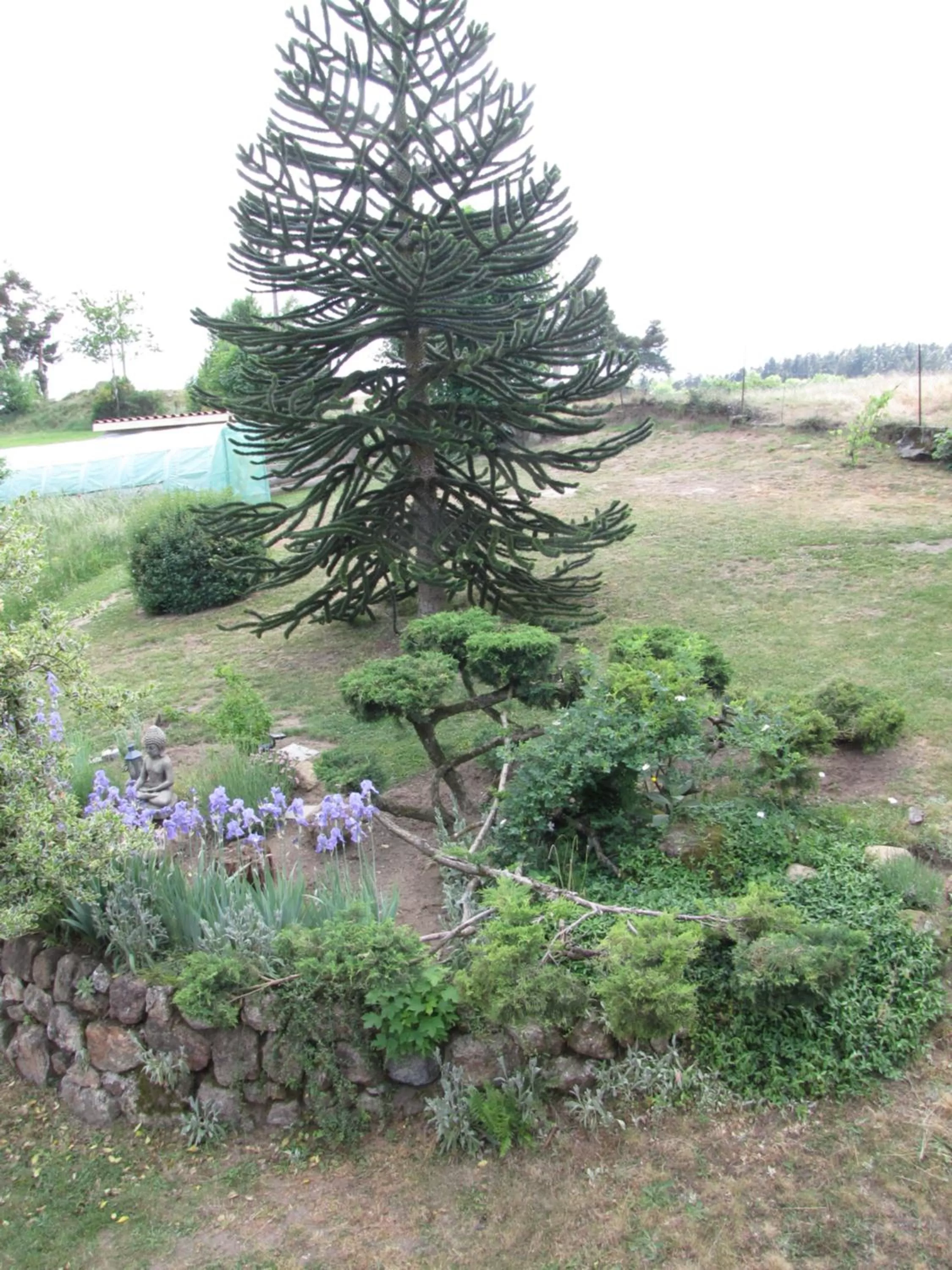 Natural landscape in Chez Sophie et Gilles