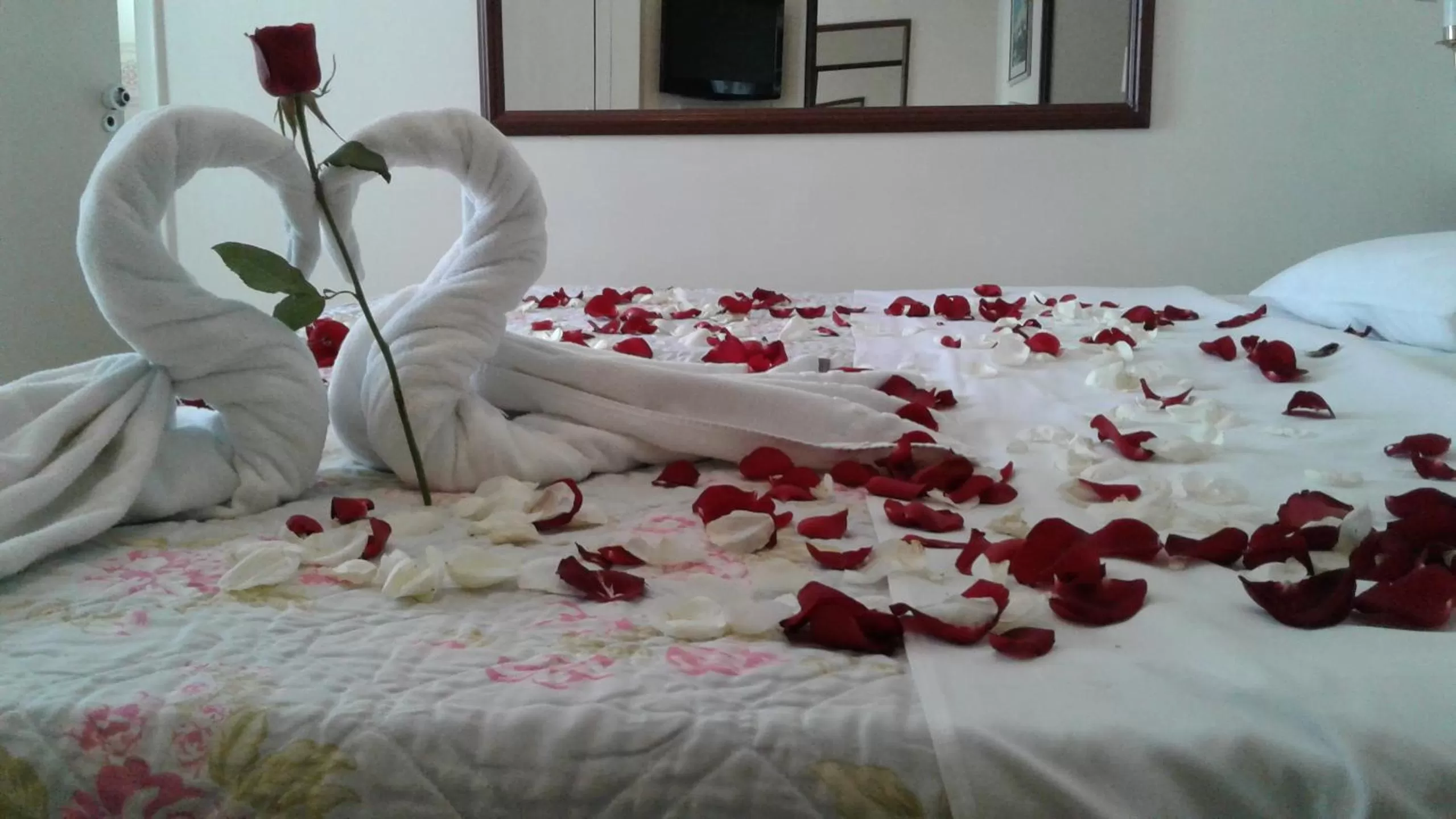 Photo of the whole room, Bed in CHA Prime Curitiba