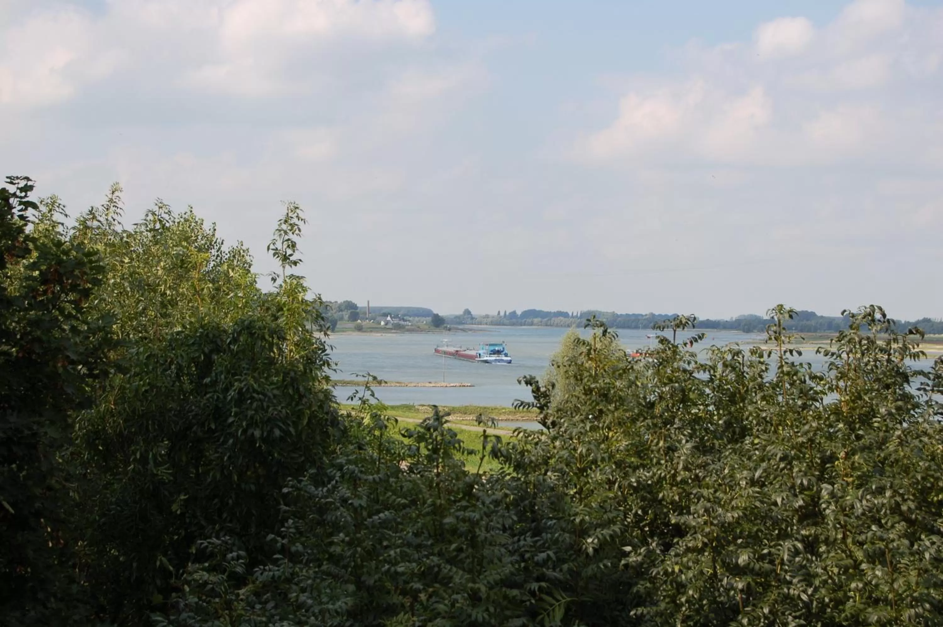 Natural landscape in De Gouden Molen