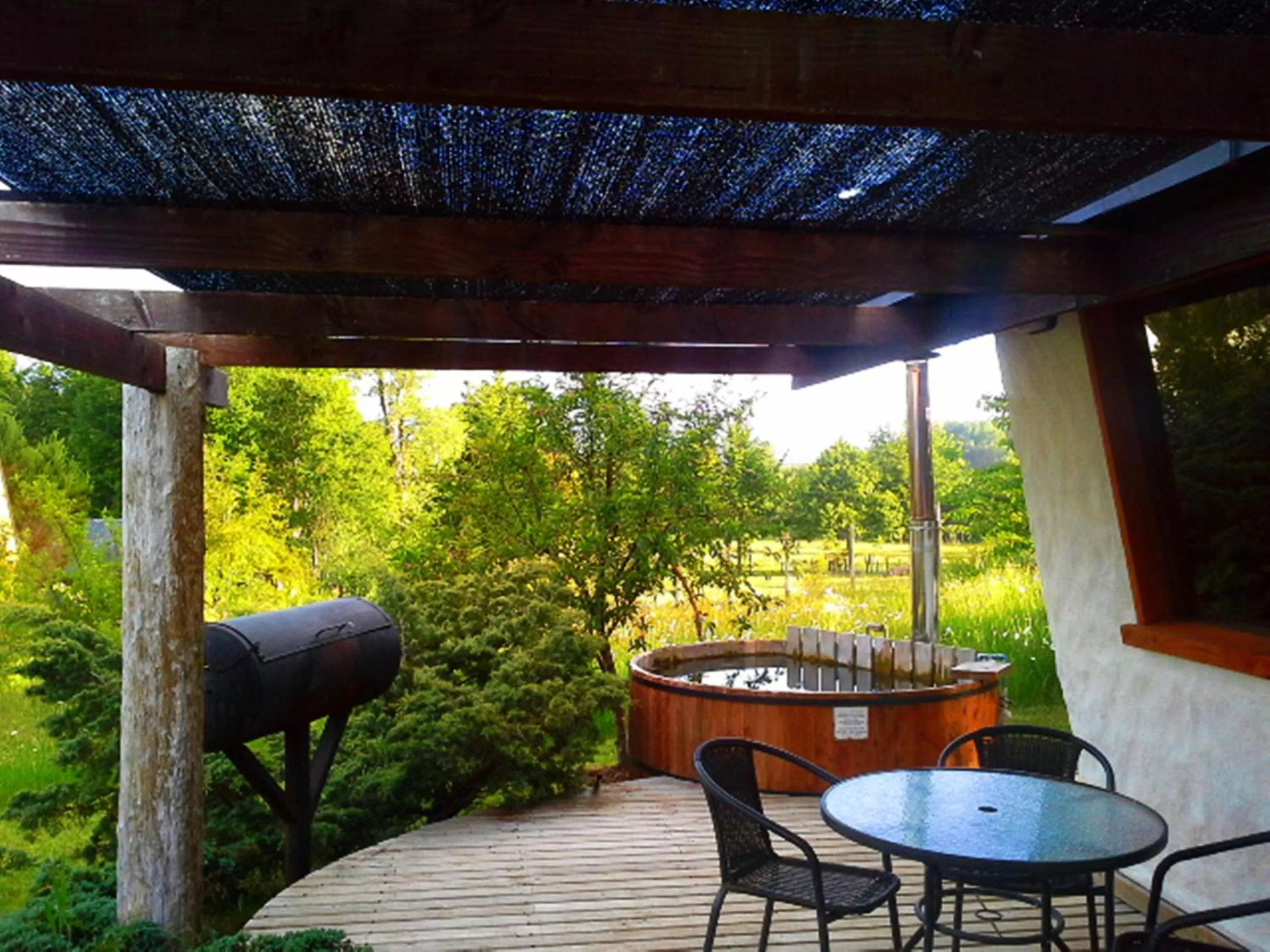 Patio in Hotel Salto del Carileufu