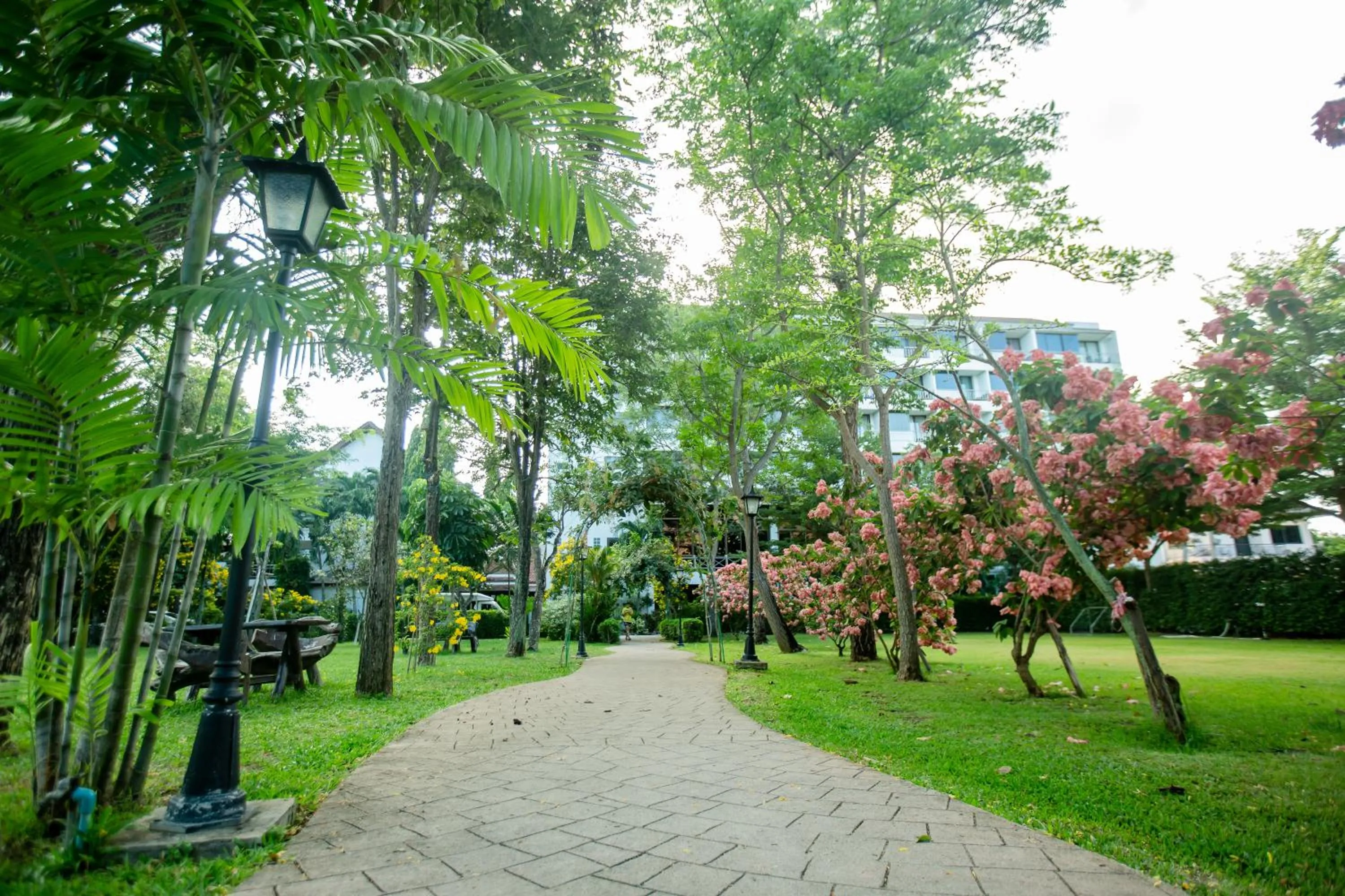 Garden in Pinnacle Grand Jomtien Resort and Beach Club