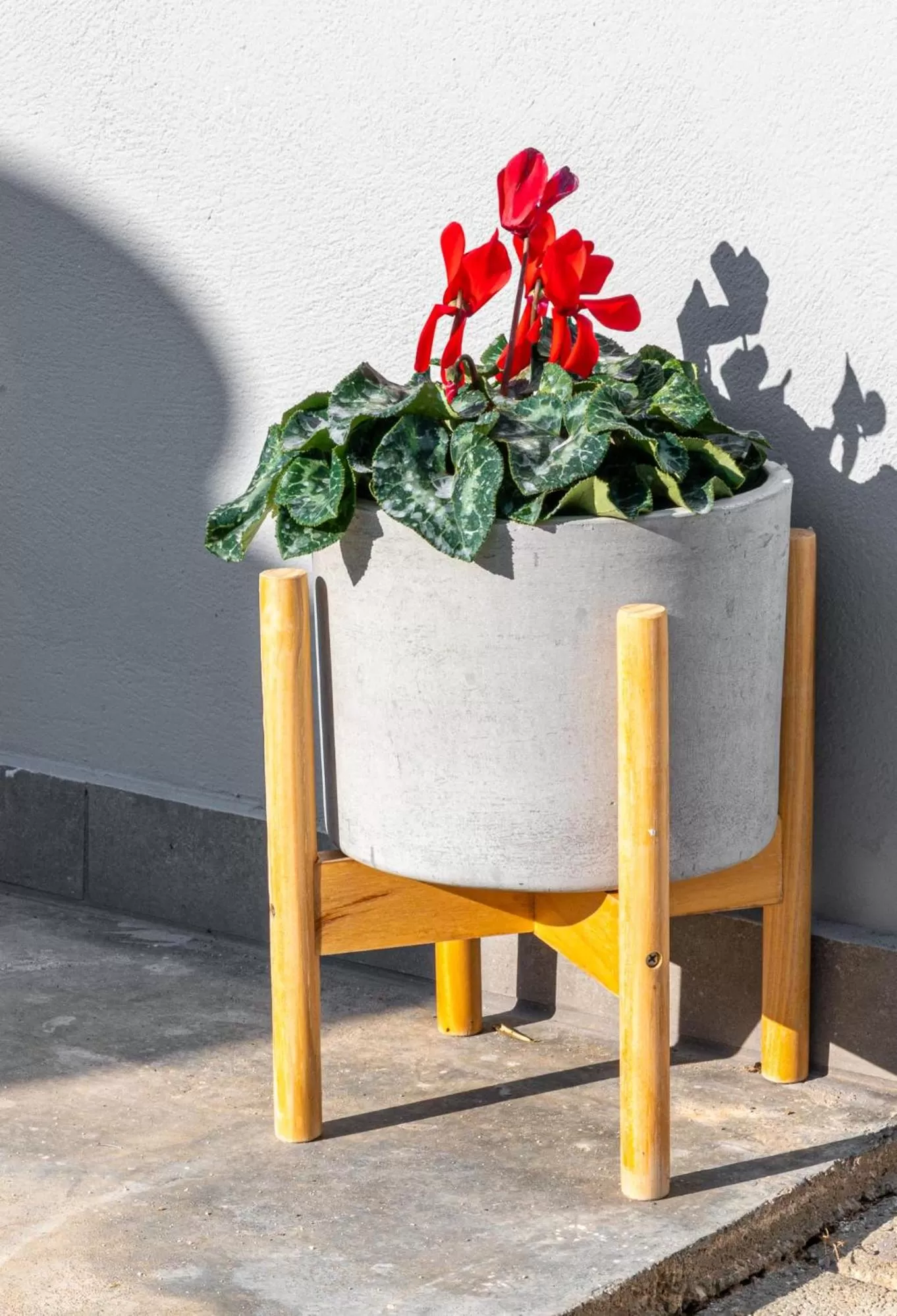 Comfort Stay Athens Airport Hotel - FREE shuttle from and to the airport