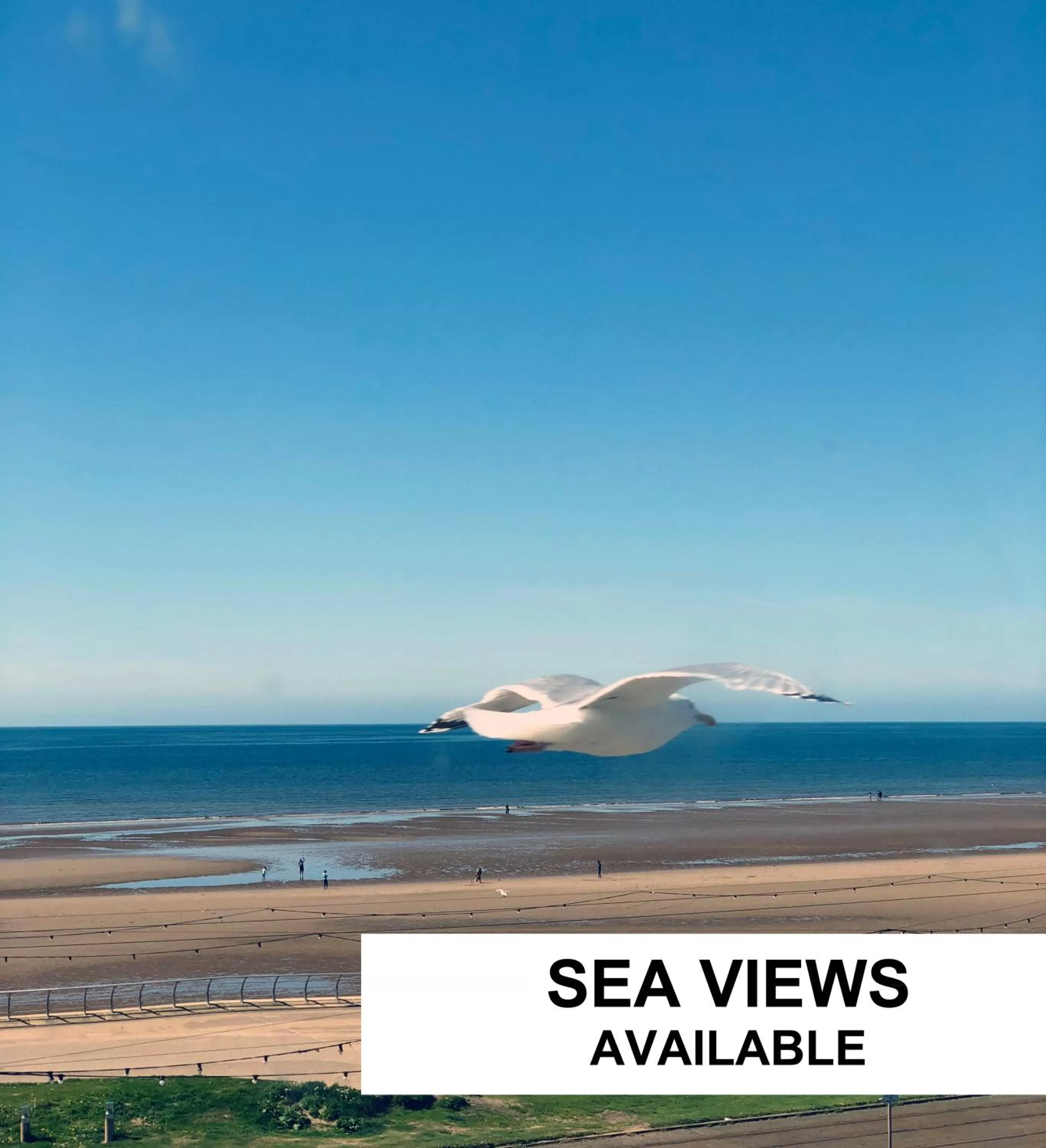 Spring in Seafront419 By Seafront Collection