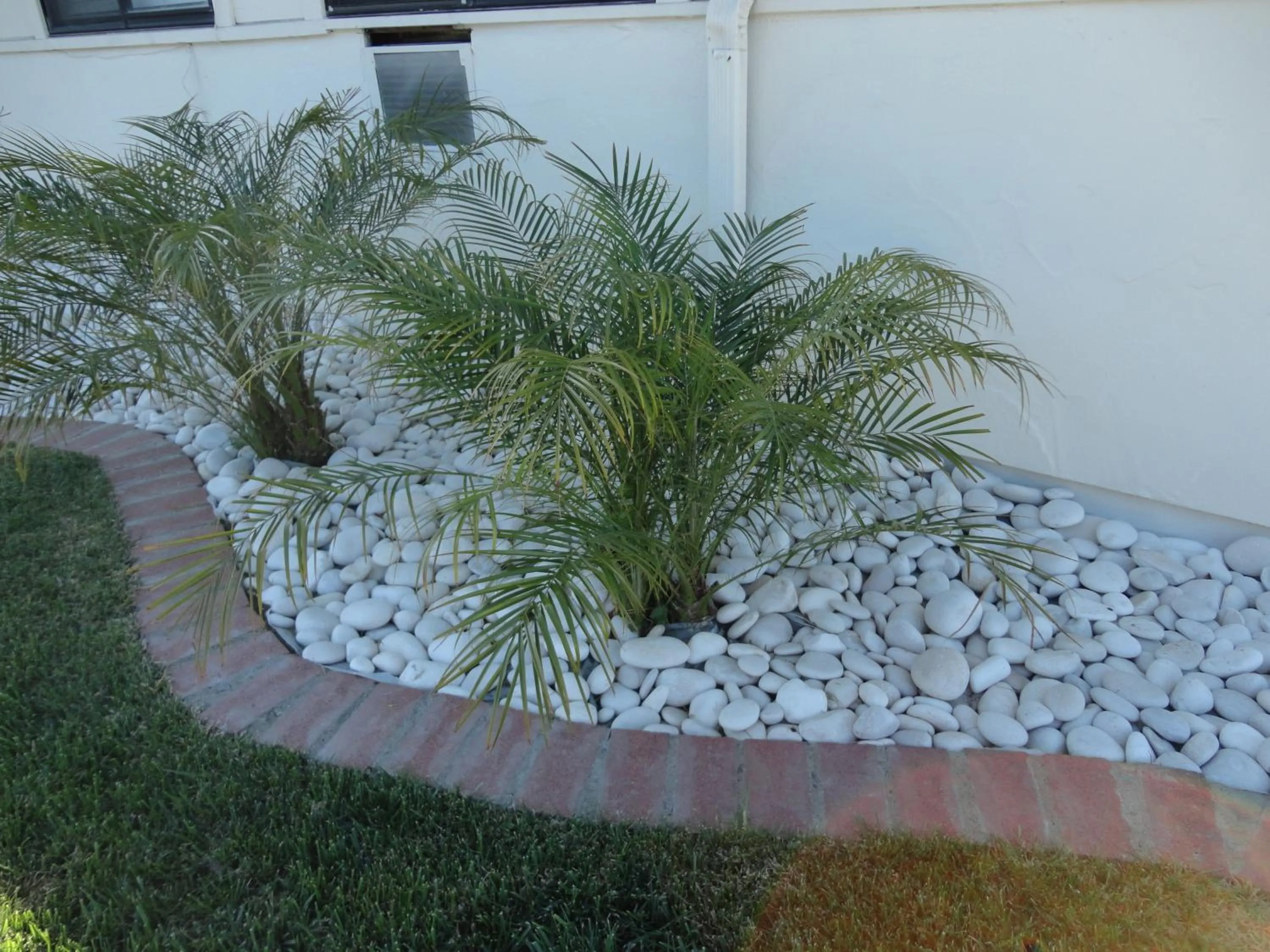 Other, Garden in Motel 6 - Downtown Monterey