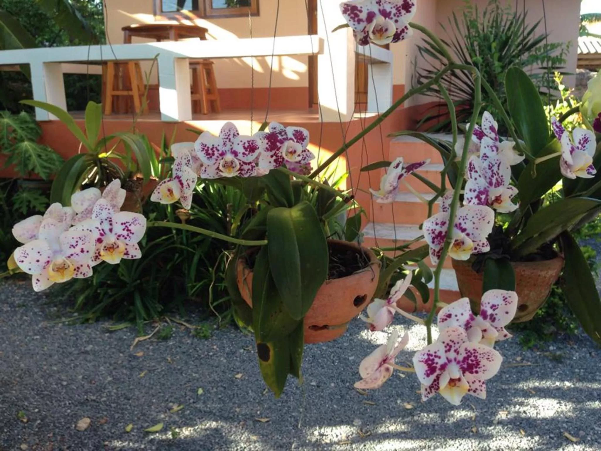 Garden in Chuanchom Resort