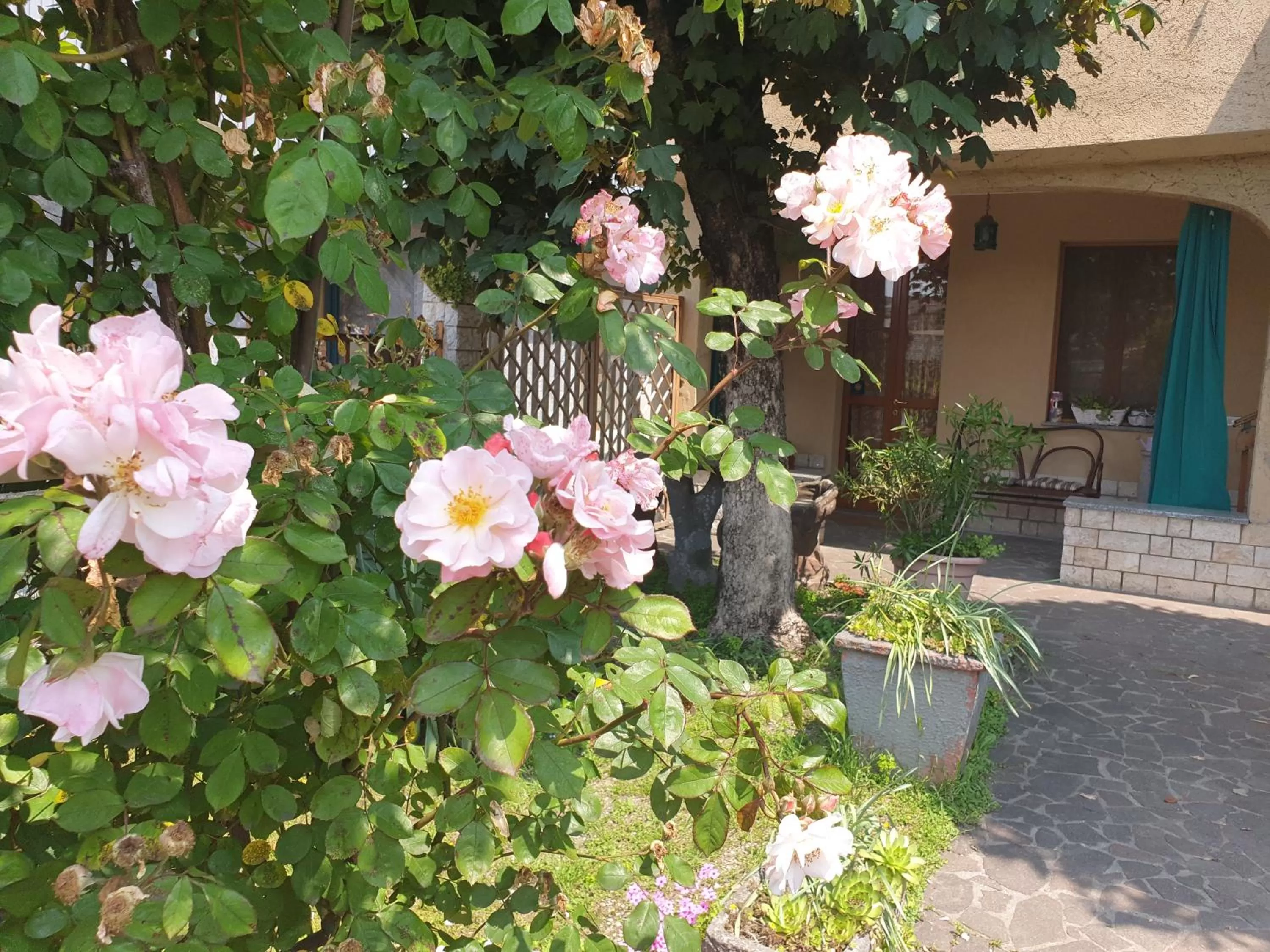 Garden in B&B Family Home