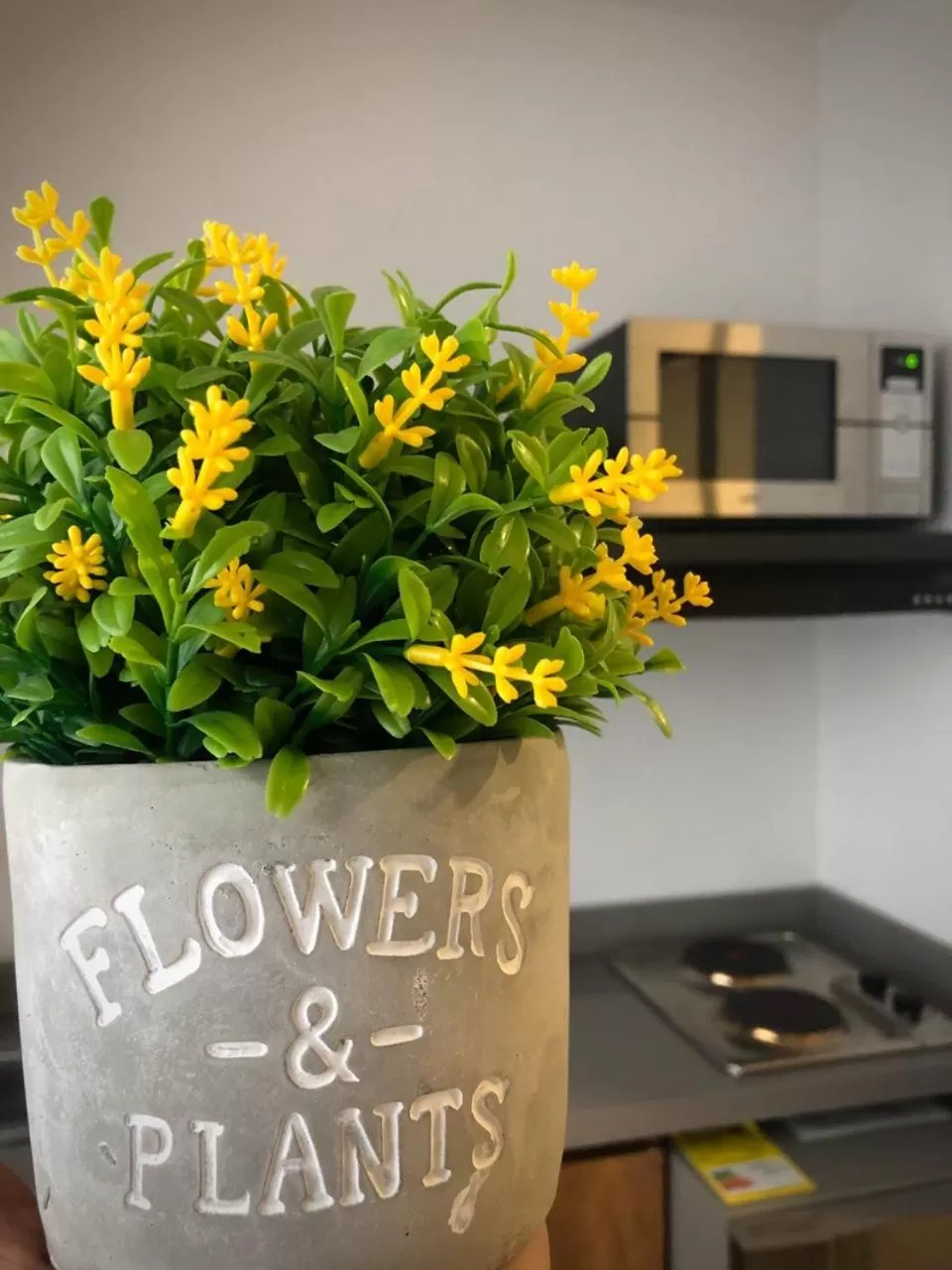 Kitchen or kitchenette in Kapital Suites