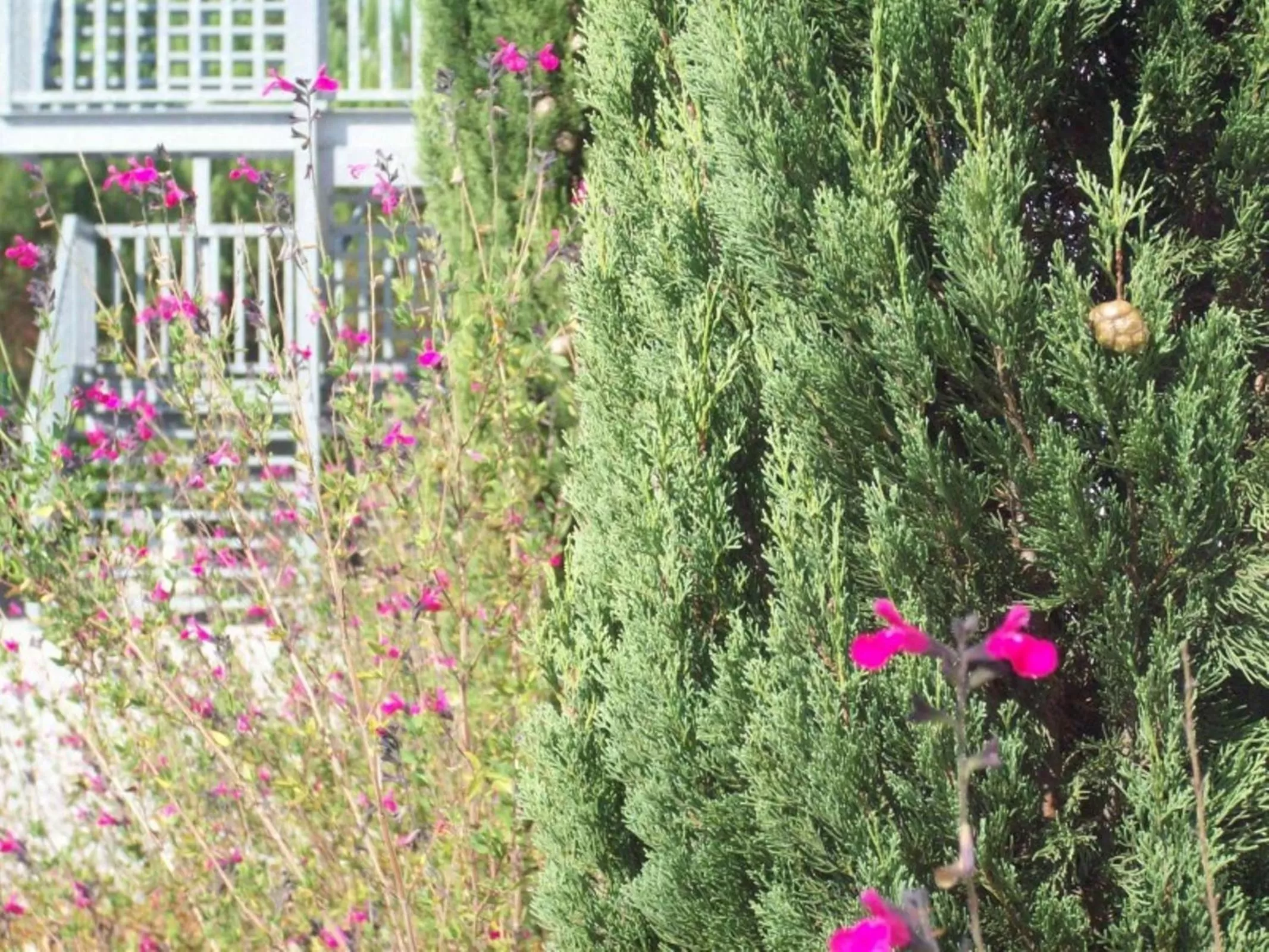 Facade/entrance in The Originals City, Hôtel Les Bruyères, Dax Nord