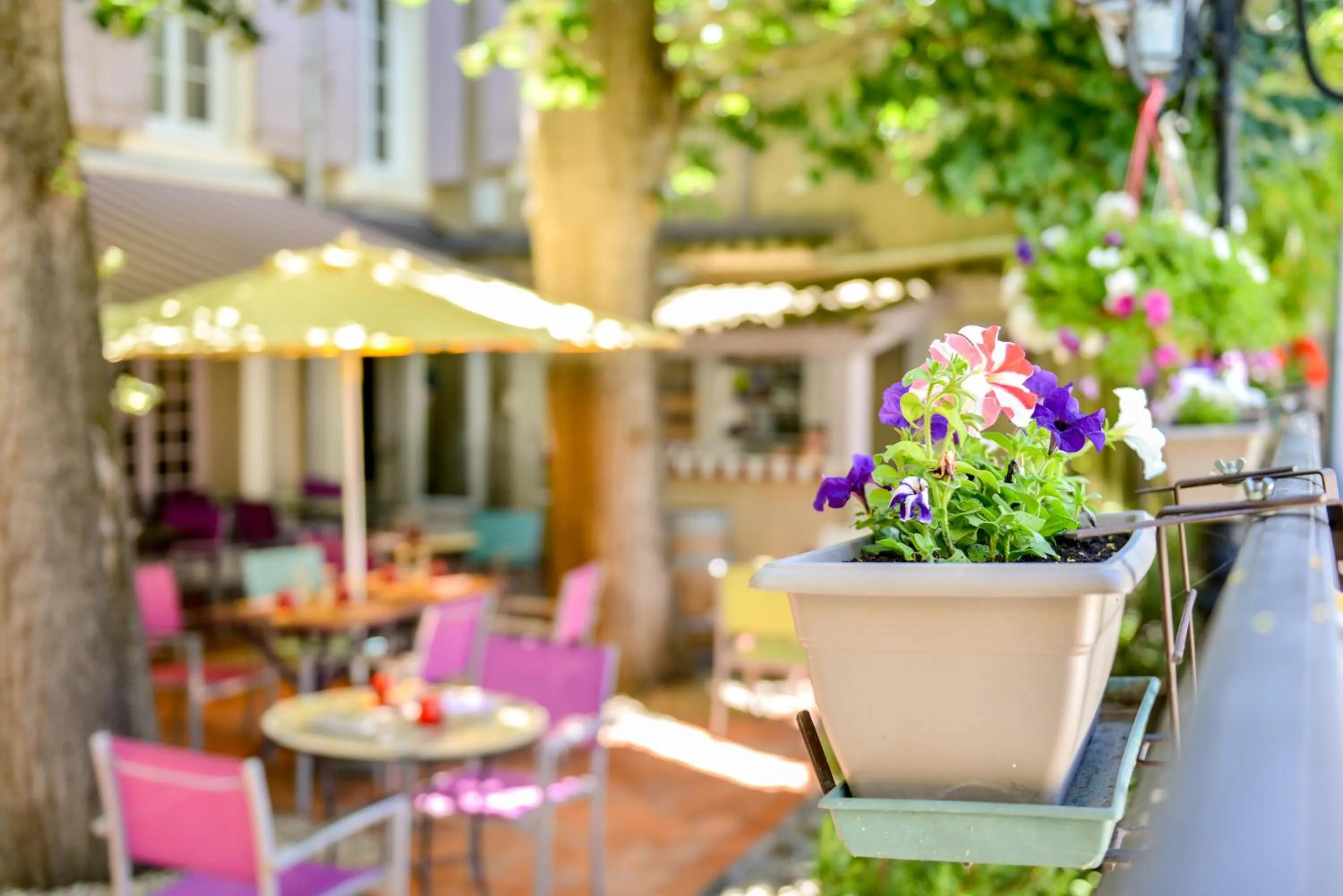 Restaurant/places to eat in Logis Hôtel Restaurant Résidence