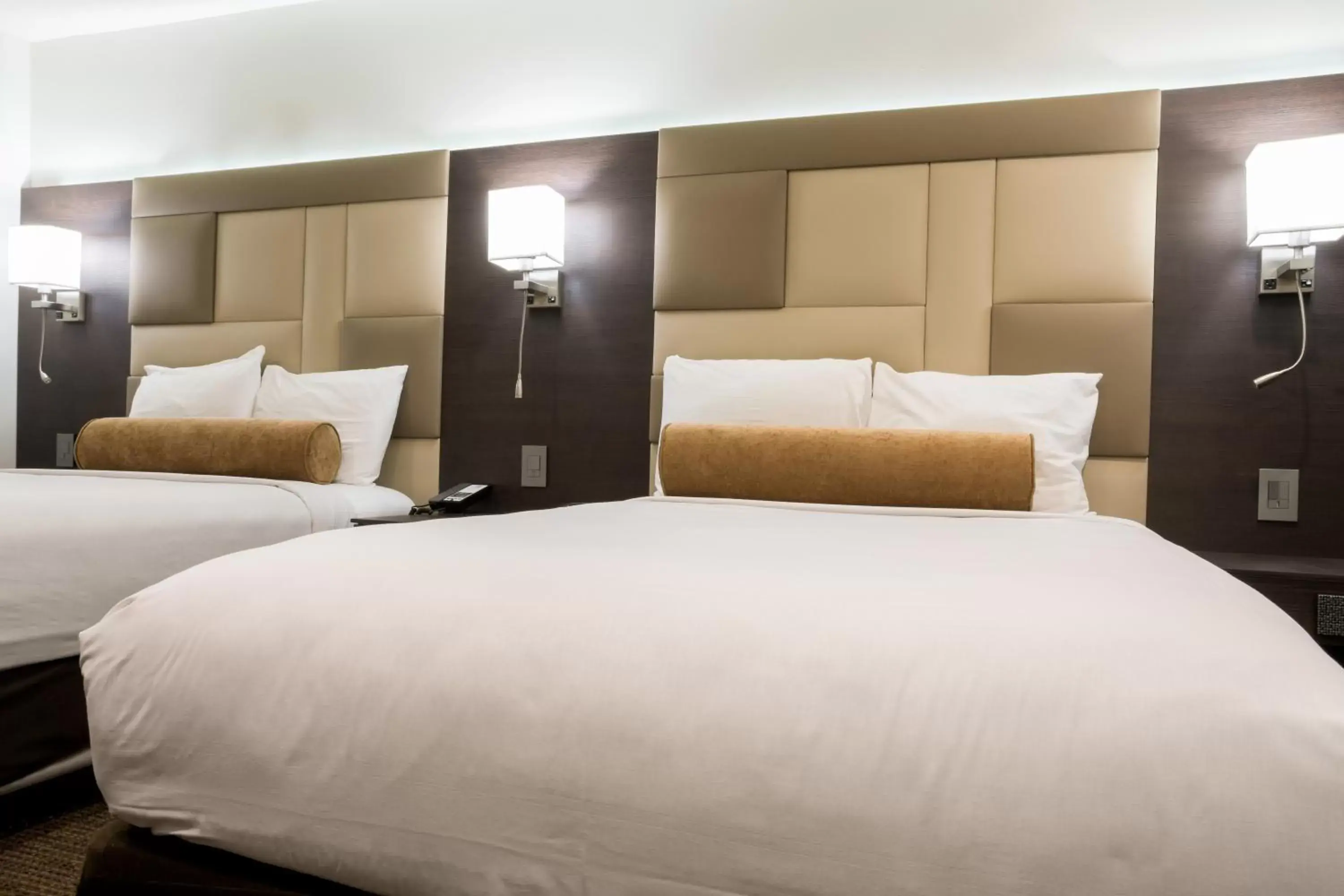 Deluxe Double Room in Hotel Xilo Glendale Deluxe Double Room in Hotel Xilo Glendale