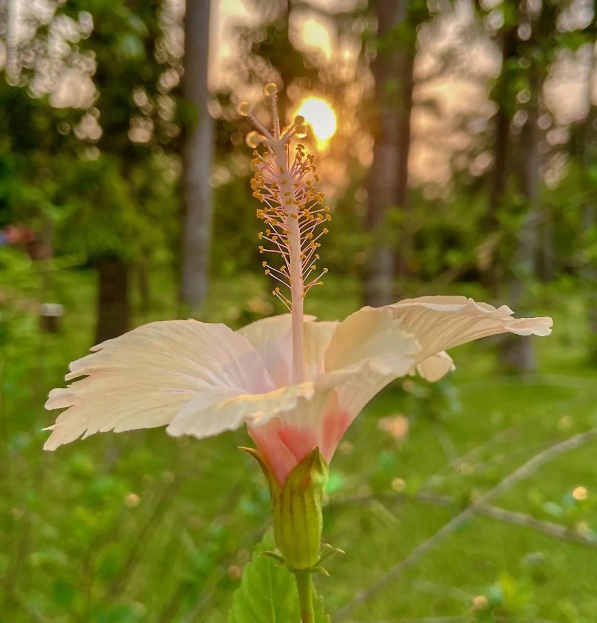 Spring in Trident Bhubaneswar