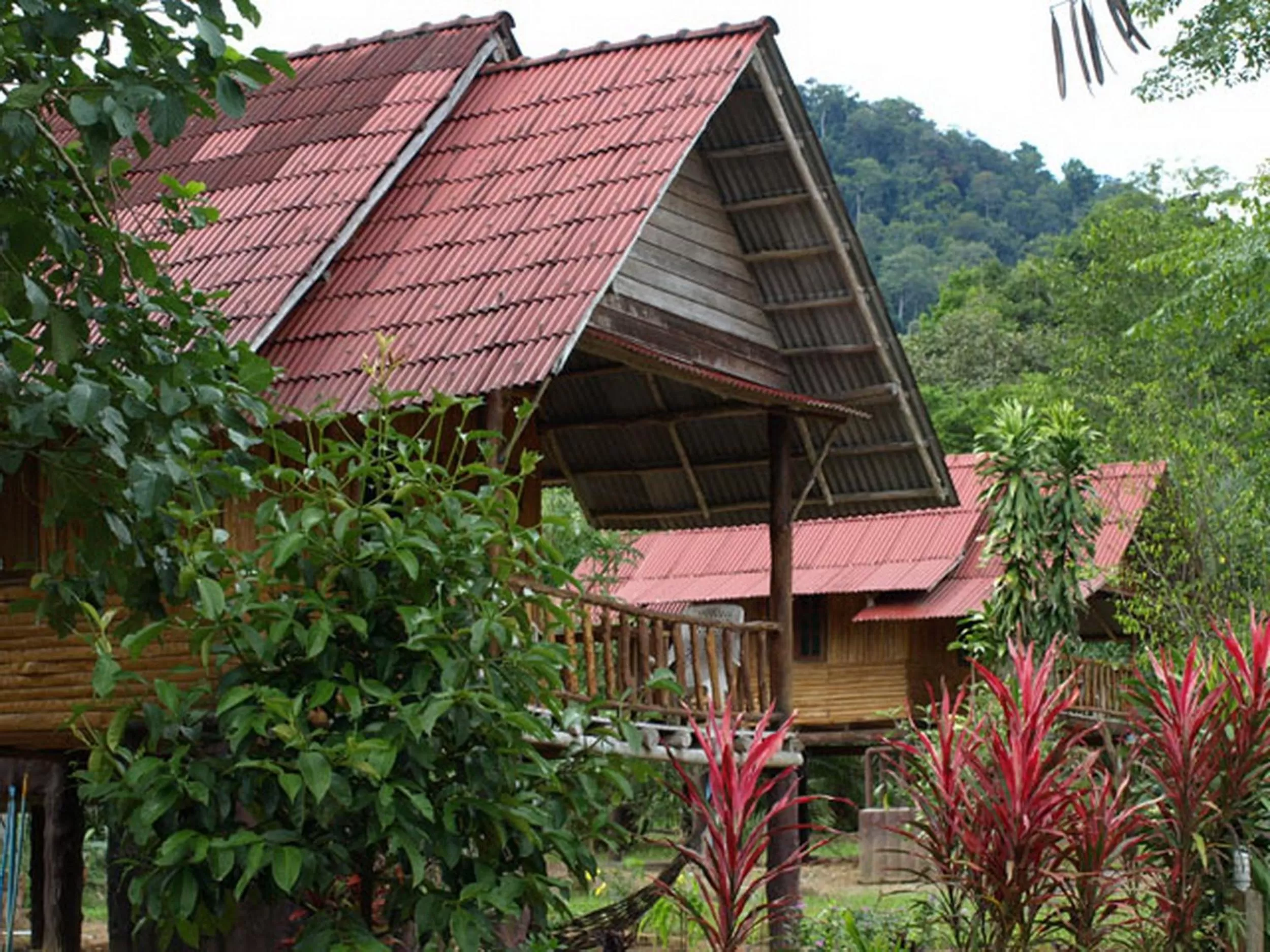 Property building in Khao Sok Palmview Resort
